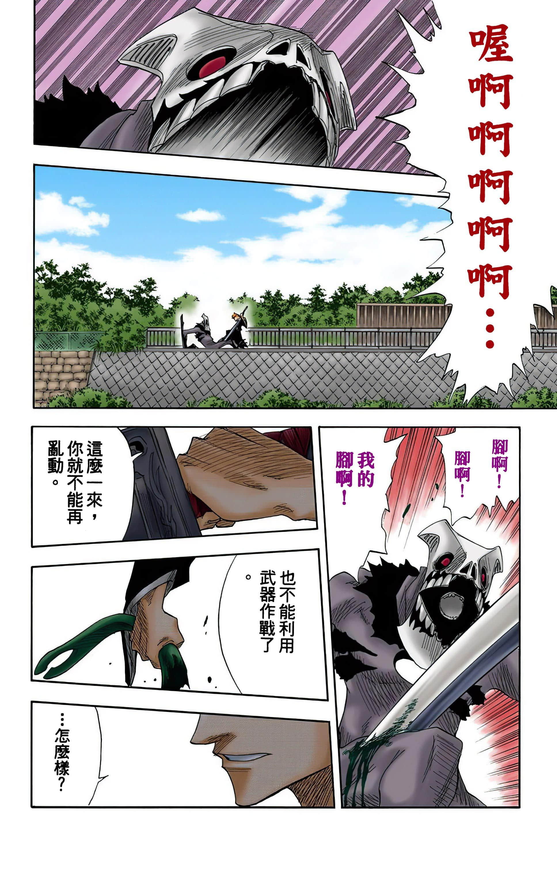 死神 全彩【1-74卷 全是中文】【BLEACH】【已完结】-2