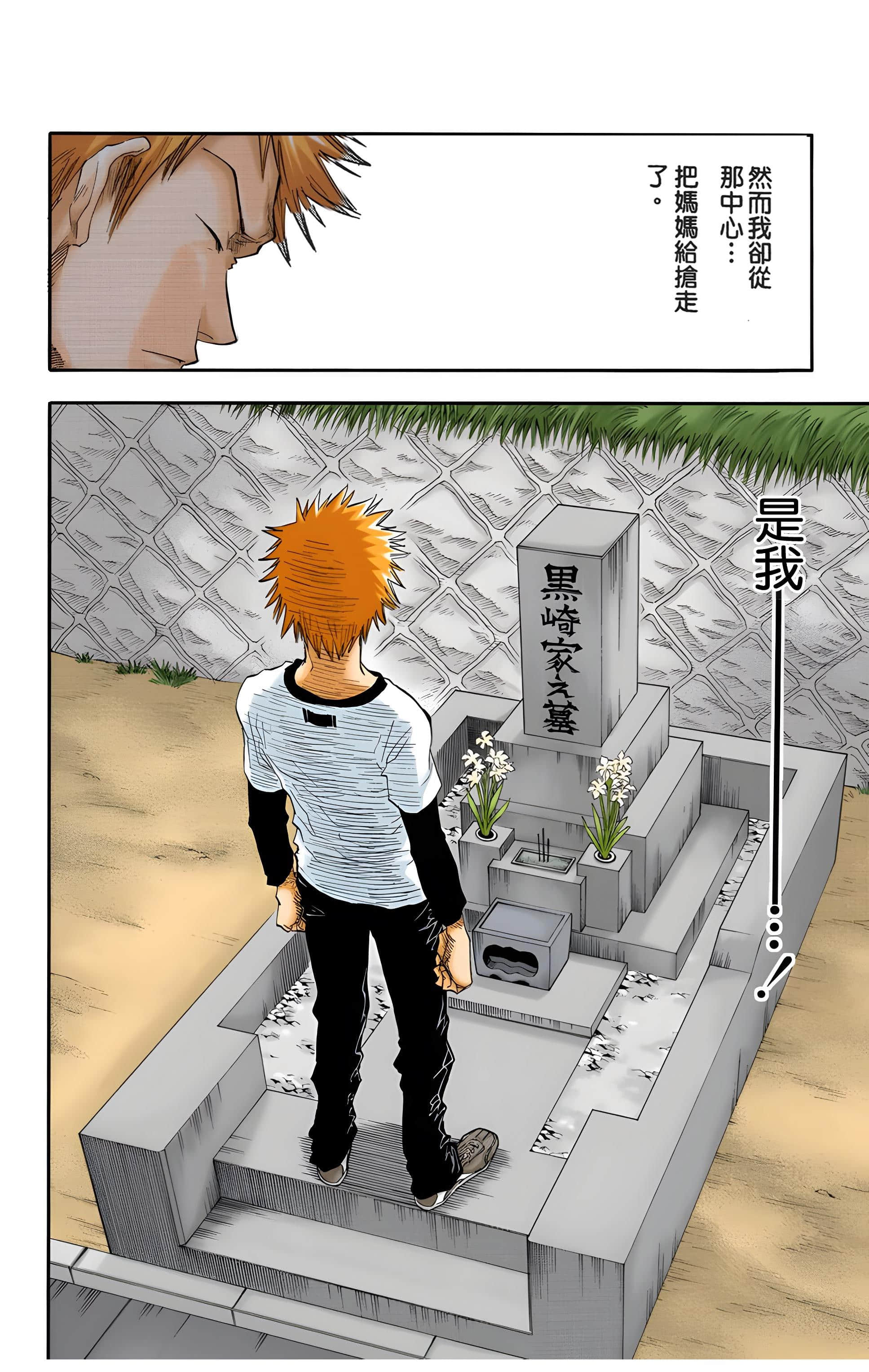 死神 全彩【1-74卷 全是中文】【BLEACH】【已完结】-3