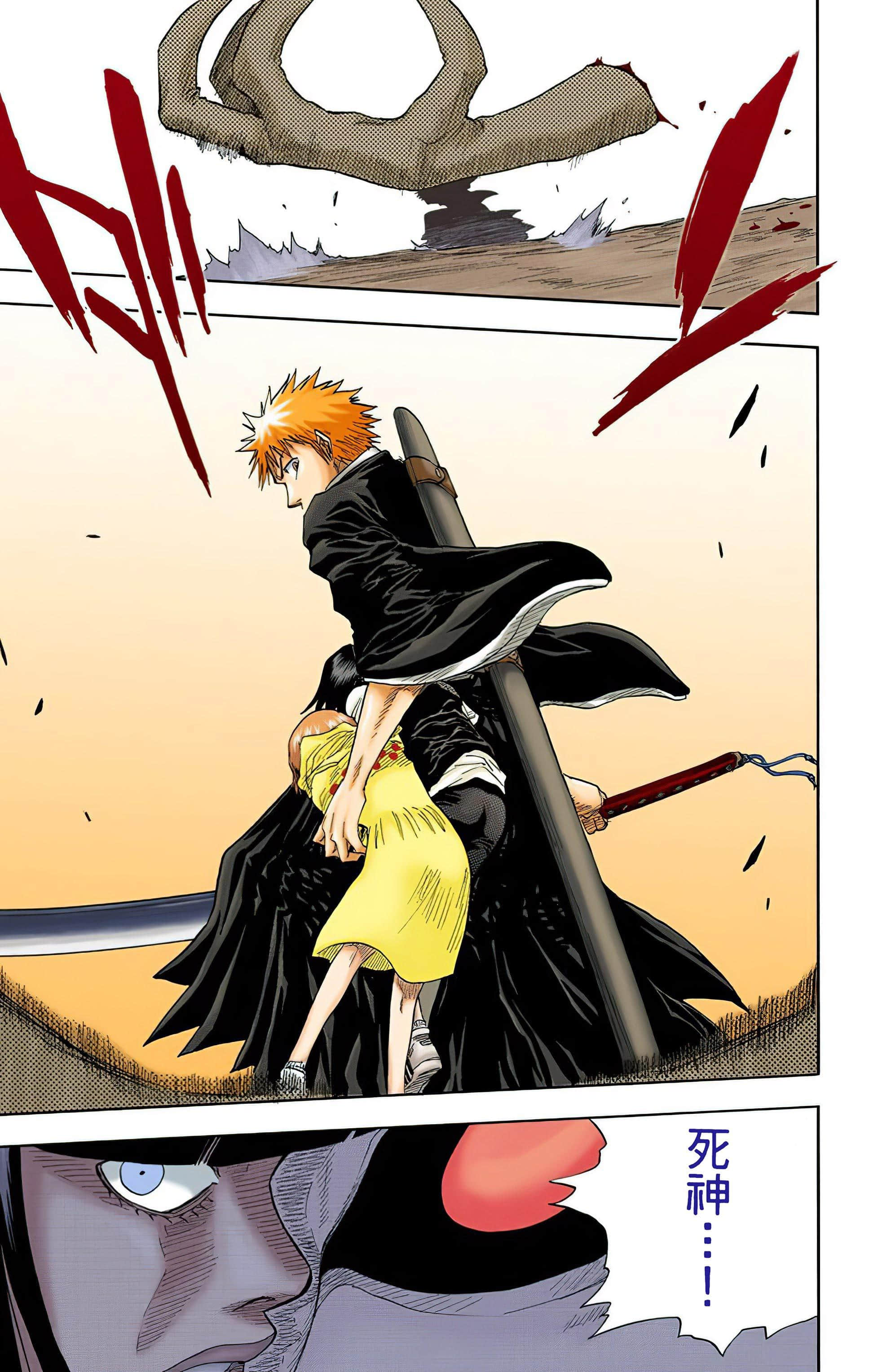 死神 全彩【1-74卷 全是中文】【BLEACH】【已完结】-3