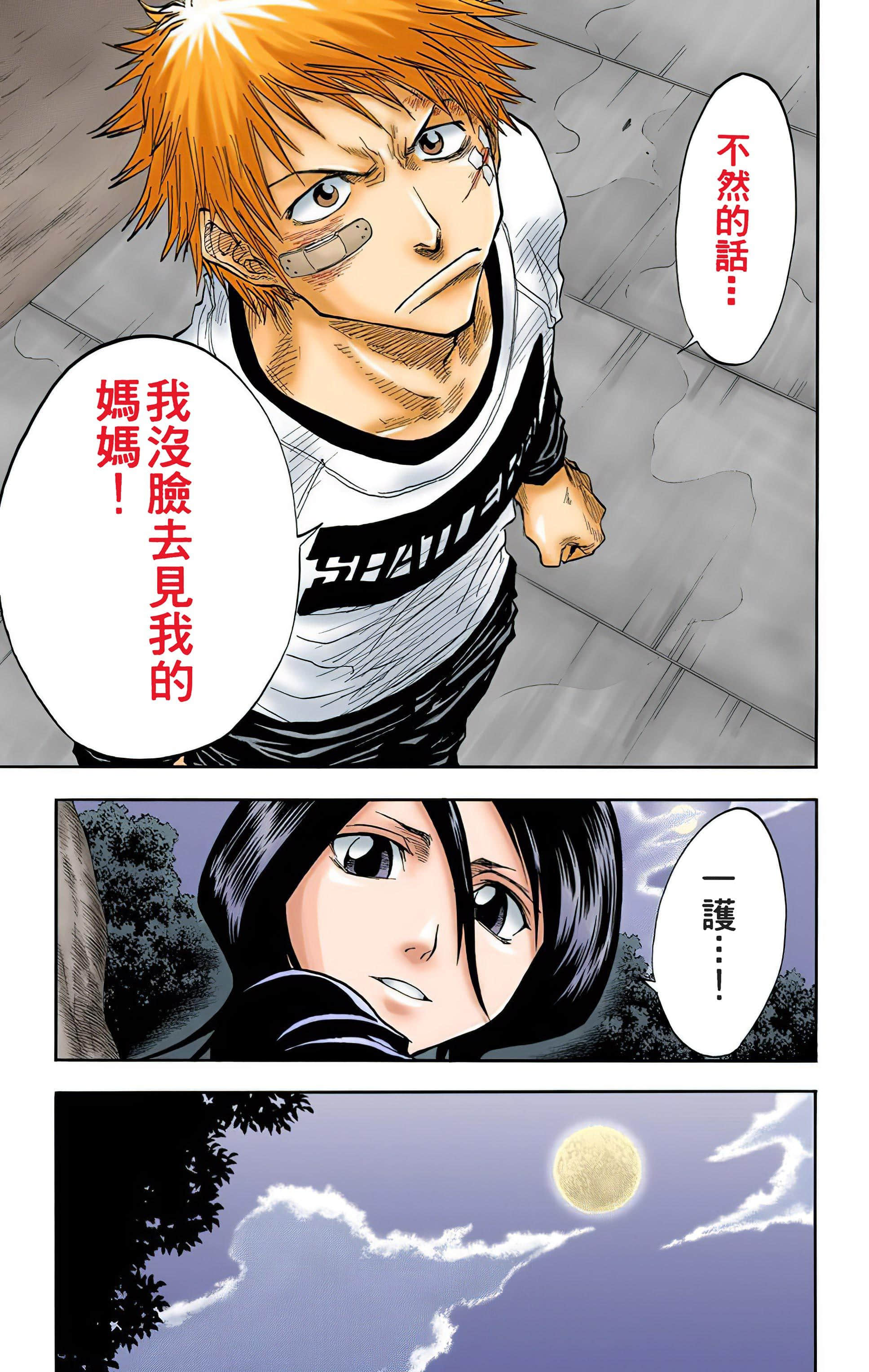 死神 全彩【1-74卷 全是中文】【BLEACH】【已完结】-3