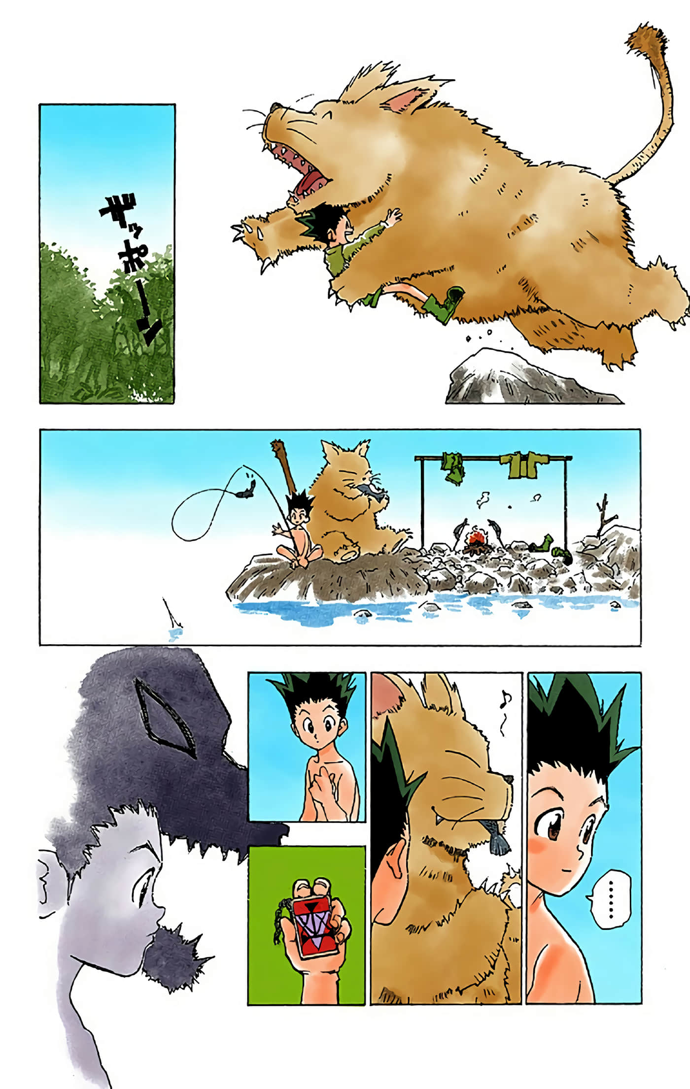 猎人 全彩【1-36卷 全是中文】【ハンター×ハンター／Hunter x Hunter／全职猎人／獵人】-1