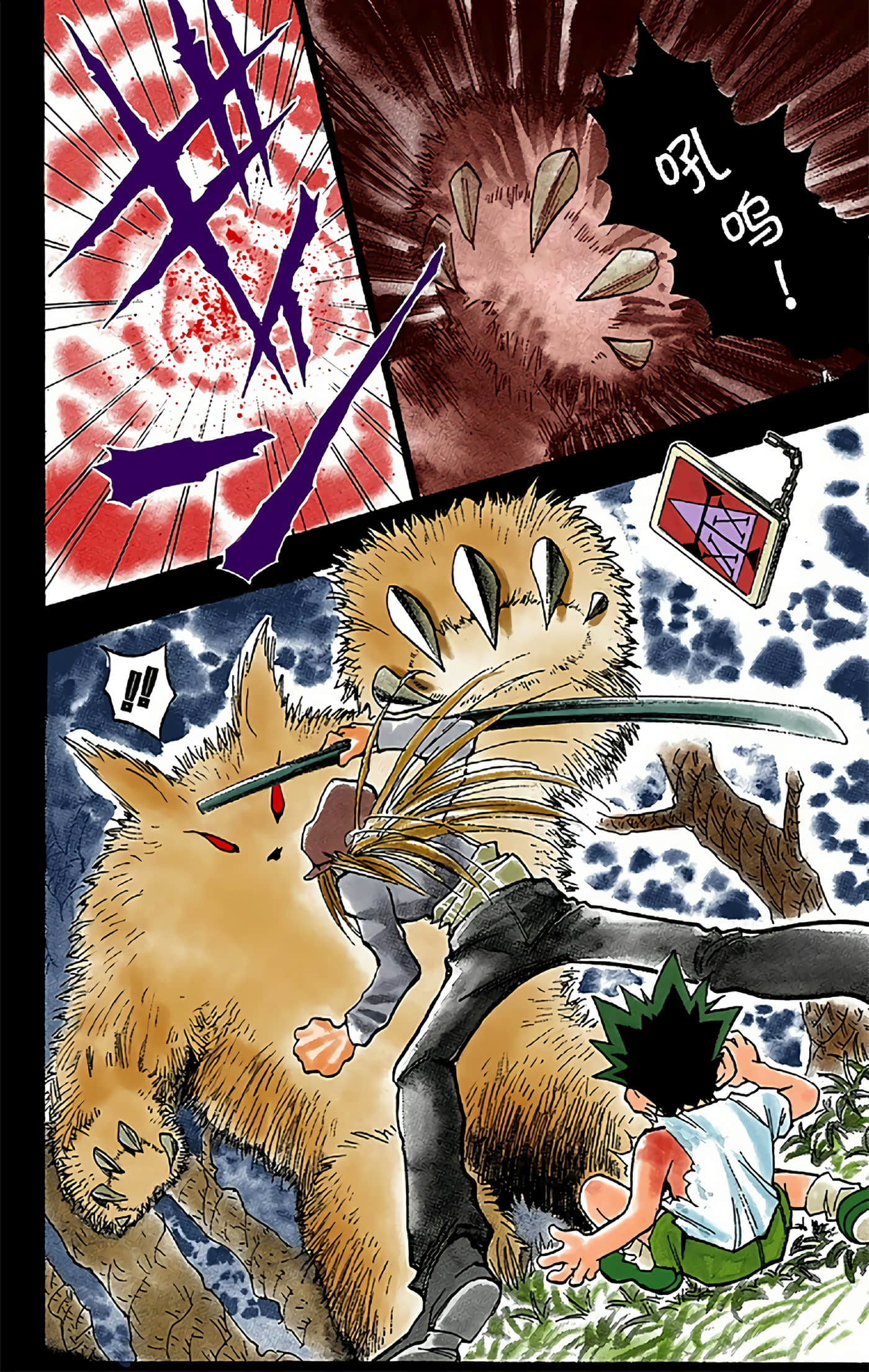 猎人 全彩【1-36卷 全是中文】【ハンター×ハンター／Hunter x Hunter／全职猎人／獵人】-1