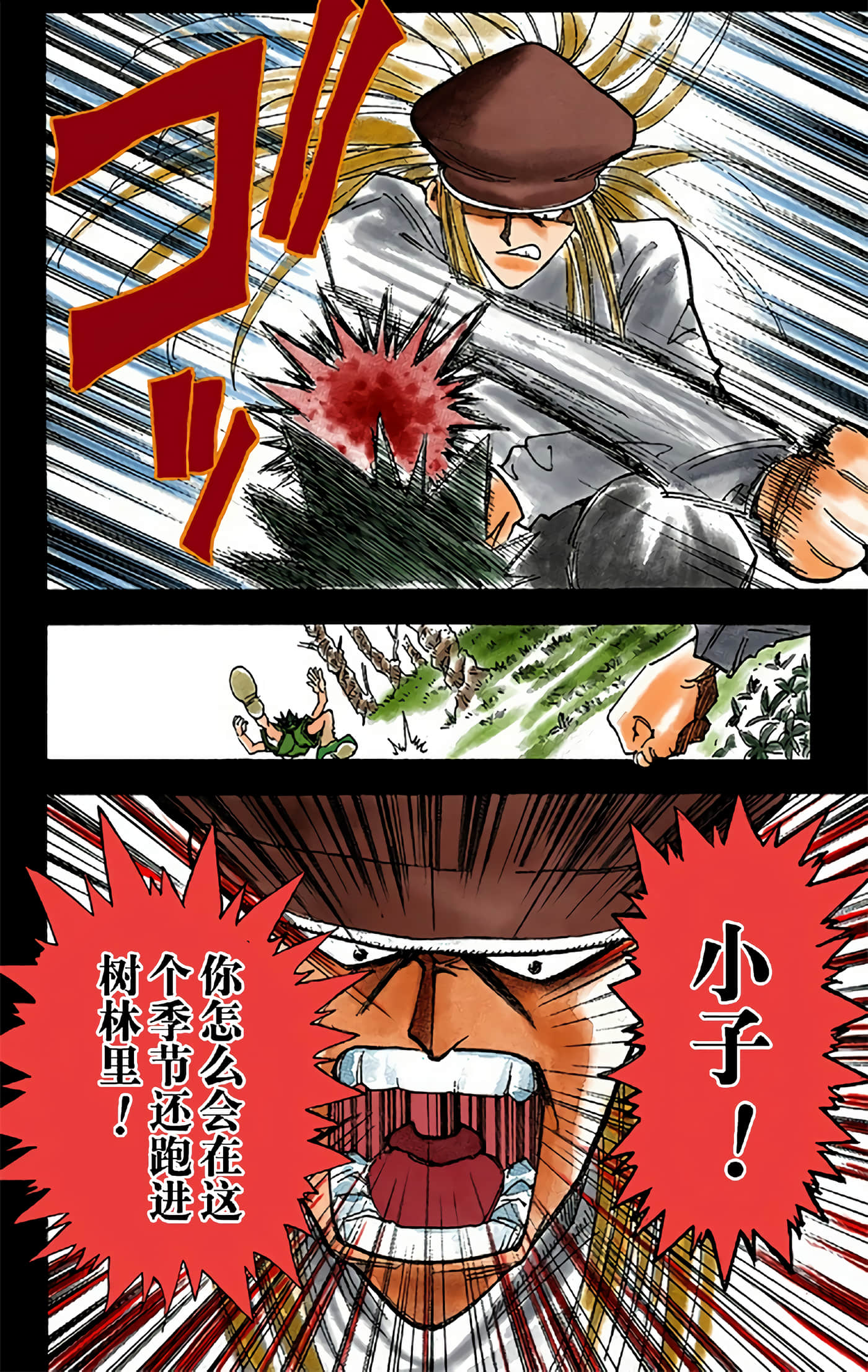 猎人 全彩【1-36卷 全是中文】【ハンター×ハンター／Hunter x Hunter／全职猎人／獵人】-1