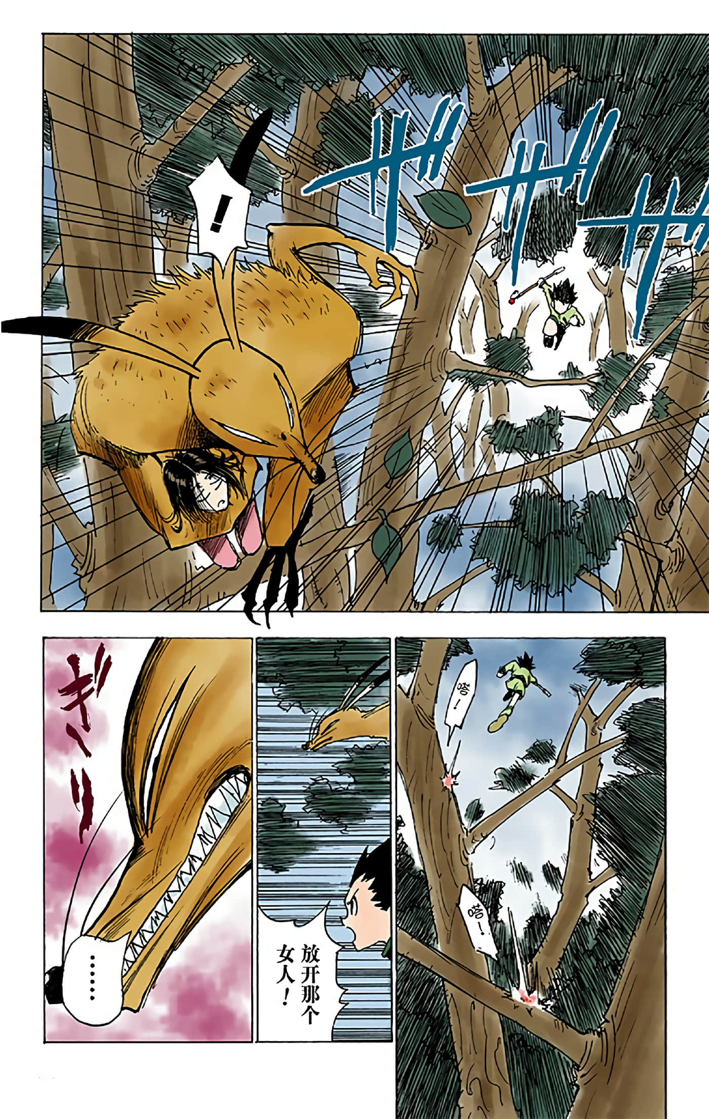猎人 全彩【1-36卷 全是中文】【ハンター×ハンター／Hunter x Hunter／全职猎人／獵人】-1