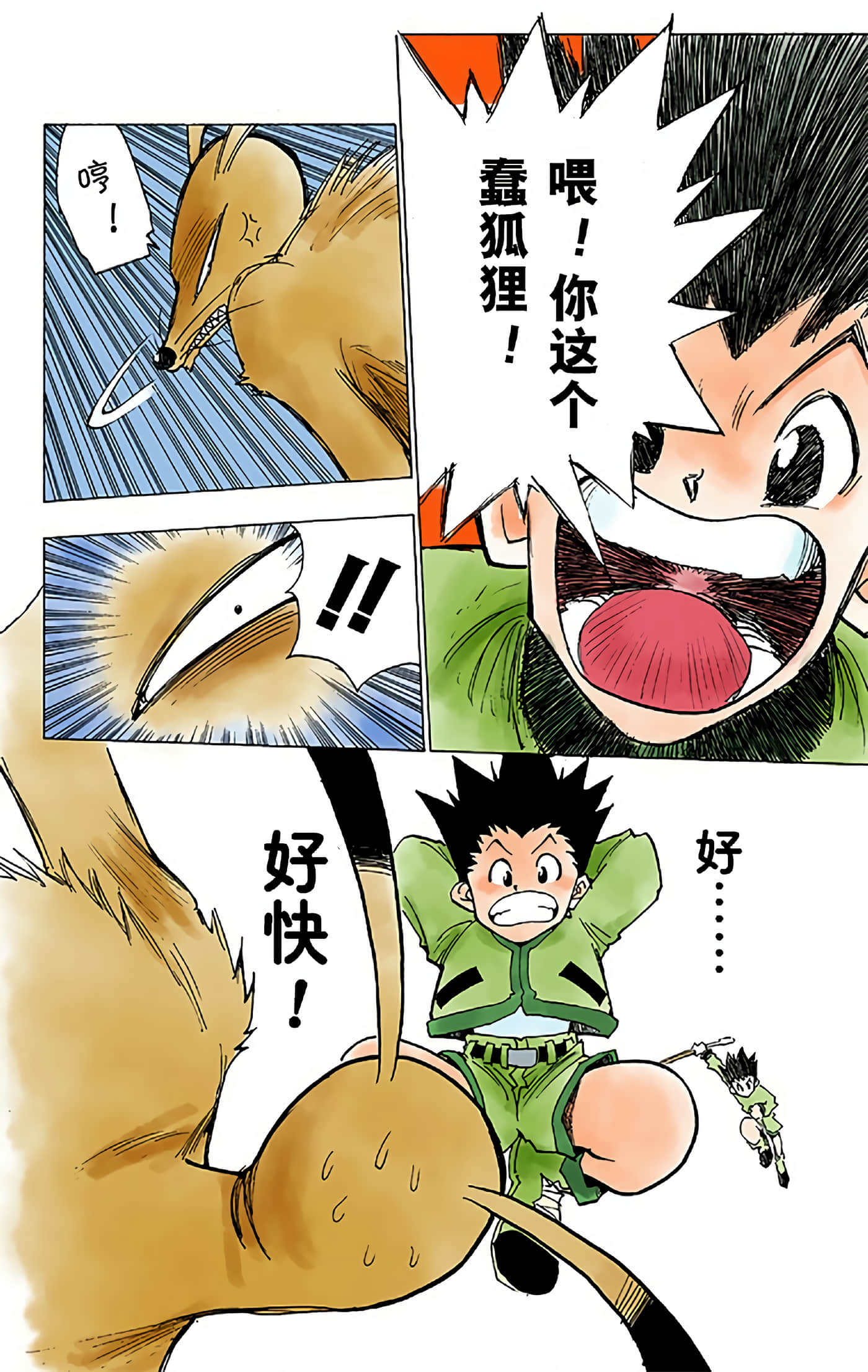 猎人 全彩【1-36卷 全是中文】【ハンター×ハンター／Hunter x Hunter／全职猎人／獵人】-1