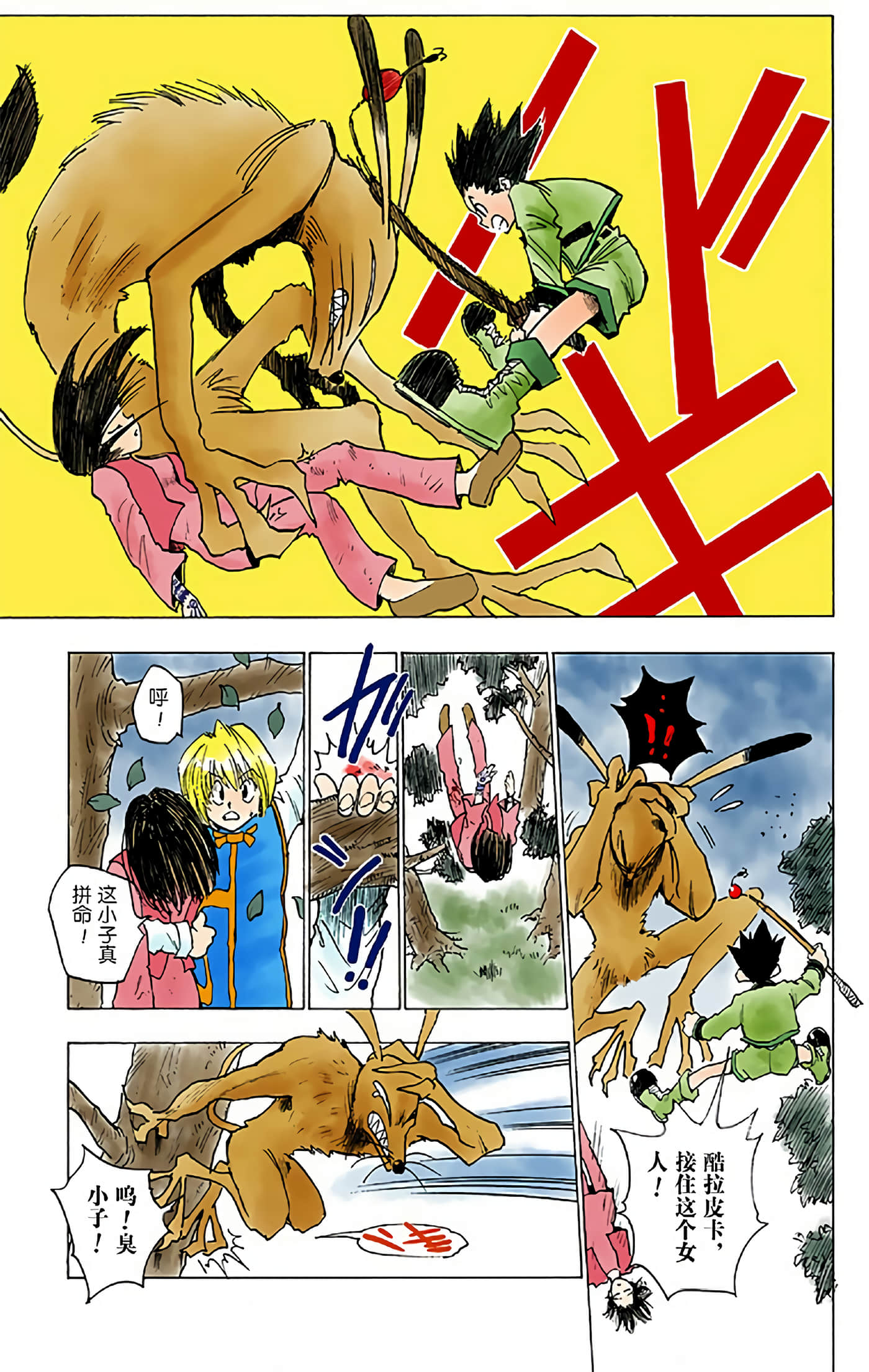 猎人 全彩【1-36卷 全是中文】【ハンター×ハンター／Hunter x Hunter／全职猎人／獵人】-1