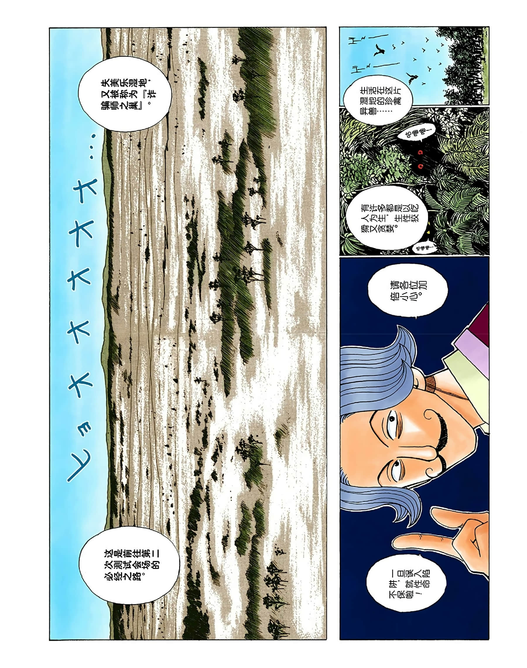 猎人 全彩【1-36卷 全是中文】【ハンター×ハンター／Hunter x Hunter／全职猎人／獵人】-1