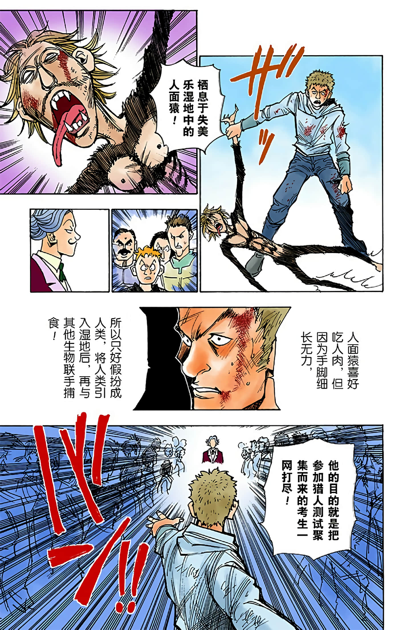 猎人 全彩【1-36卷 全是中文】【ハンター×ハンター／Hunter x Hunter／全职猎人／獵人】-1