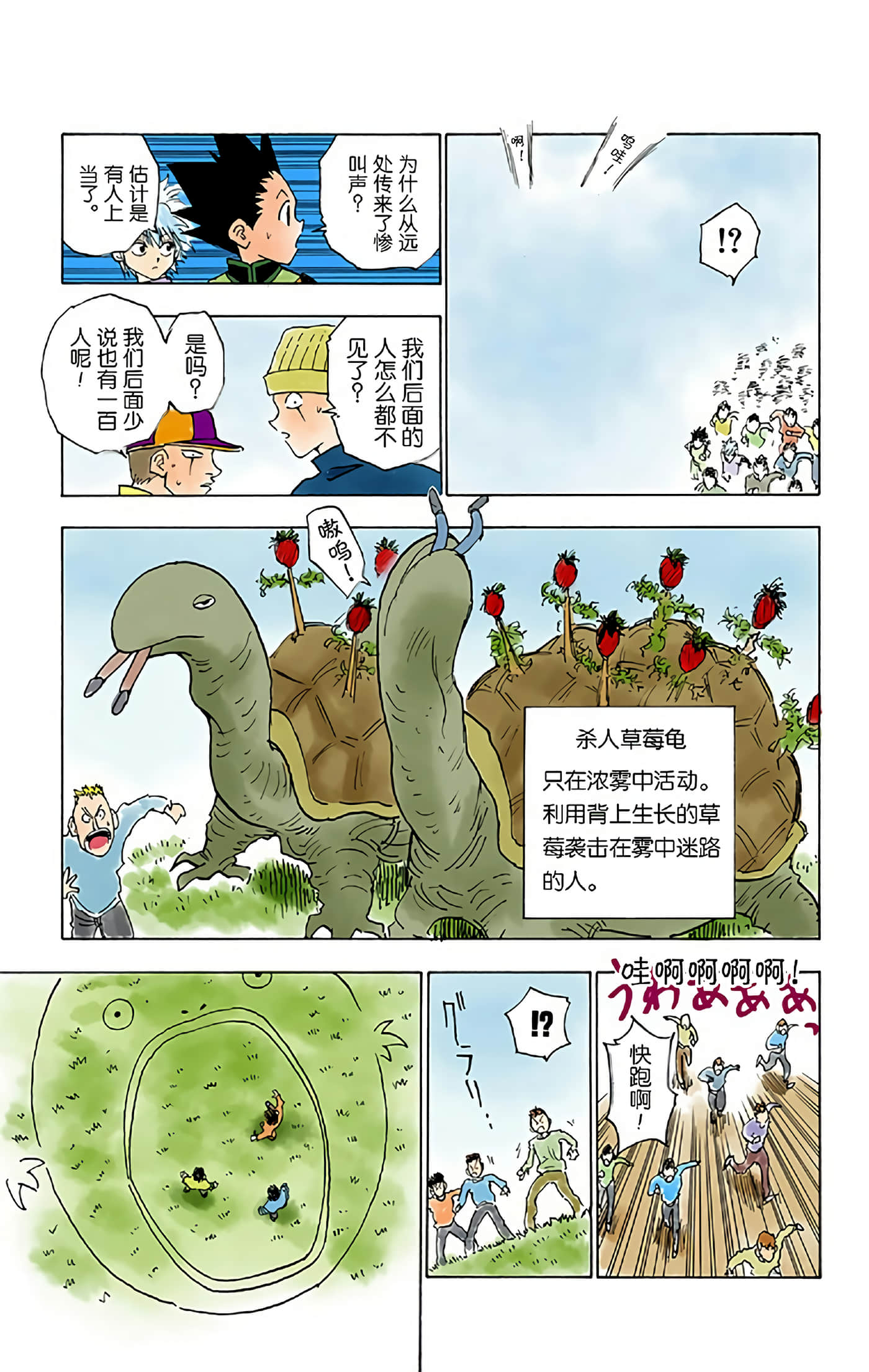 猎人 全彩【1-36卷 全是中文】【ハンター×ハンター／Hunter x Hunter／全职猎人／獵人】-1