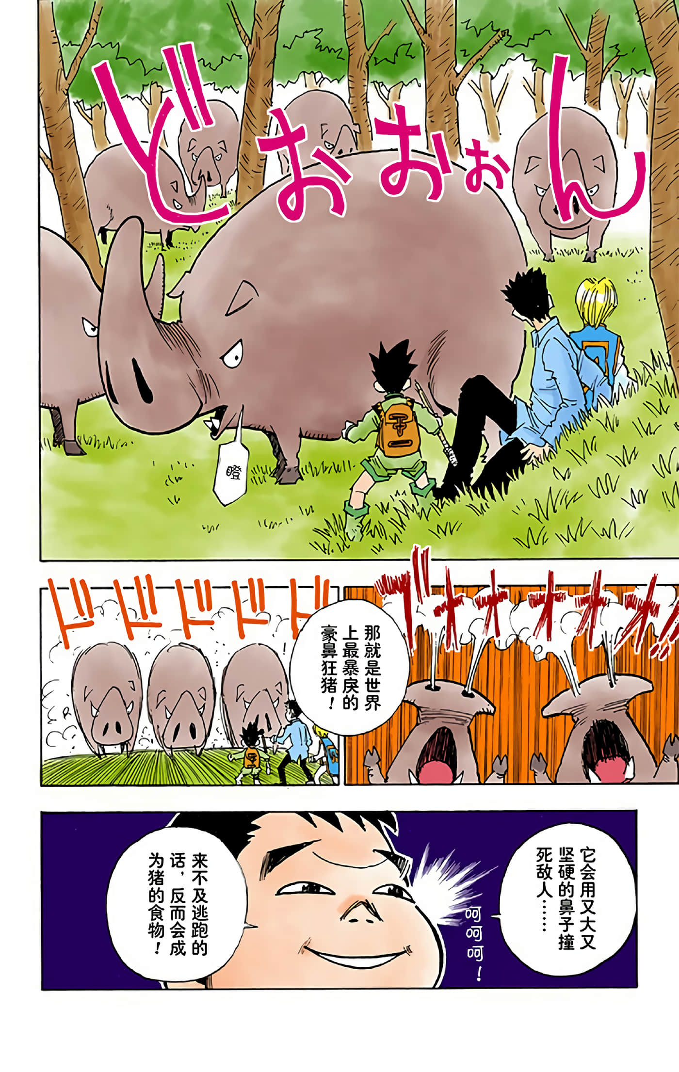 猎人 全彩【1-36卷 全是中文】【ハンター×ハンター／Hunter x Hunter／全职猎人／獵人】-2