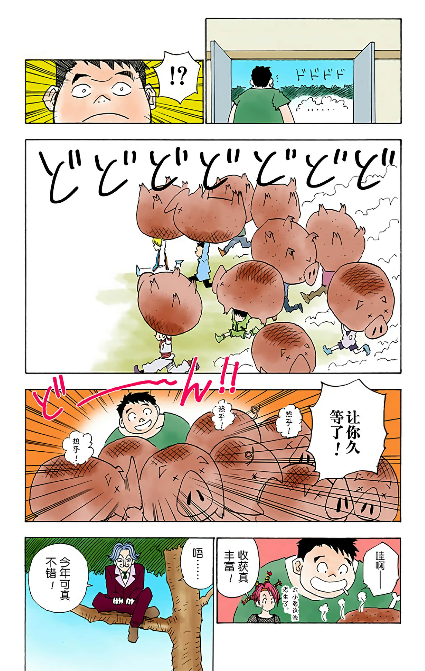 猎人 全彩【1-36卷 全是中文】【ハンター×ハンター／Hunter x Hunter／全职猎人／獵人】-2