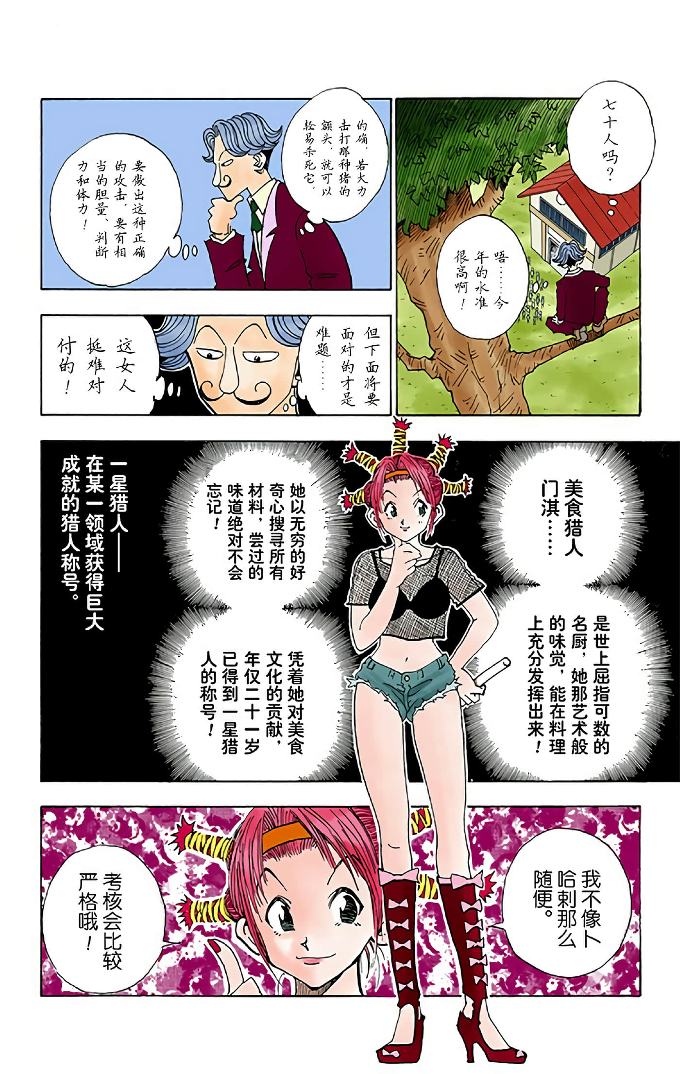 猎人 全彩【1-36卷 全是中文】【ハンター×ハンター／Hunter x Hunter／全职猎人／獵人】-2