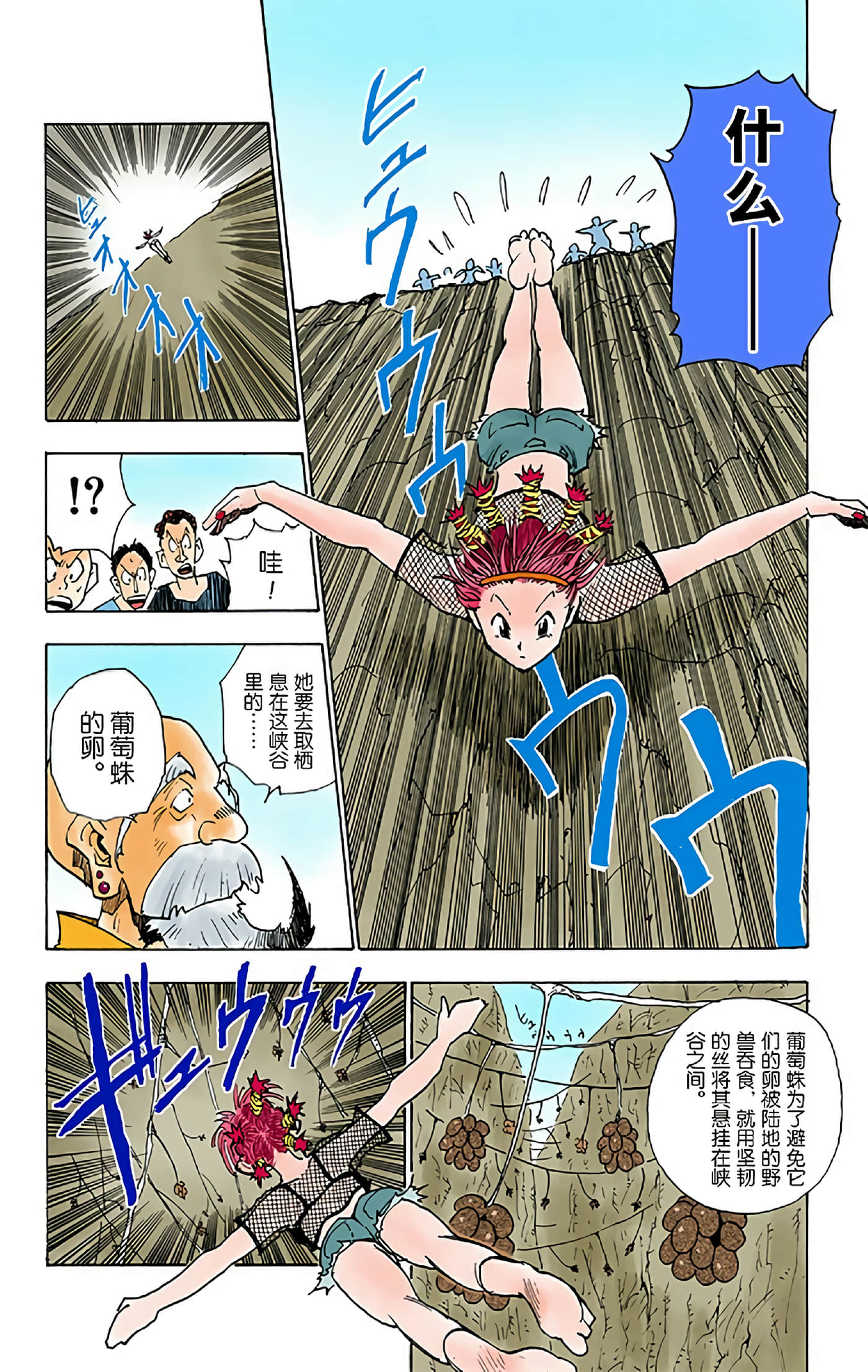 猎人 全彩【1-36卷 全是中文】【ハンター×ハンター／Hunter x Hunter／全职猎人／獵人】-2