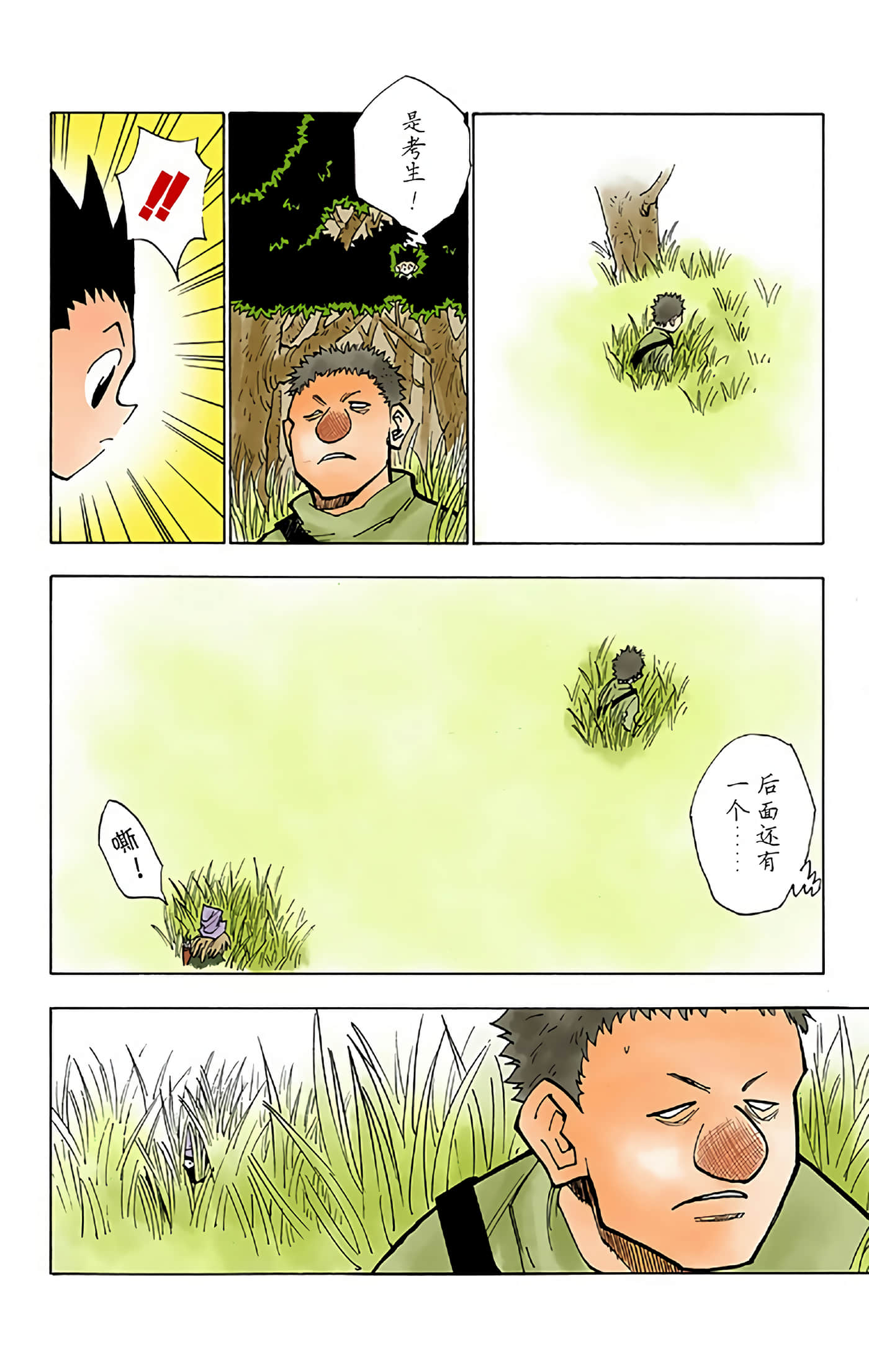 猎人 全彩【1-36卷 全是中文】【ハンター×ハンター／Hunter x Hunter／全职猎人／獵人】-3
