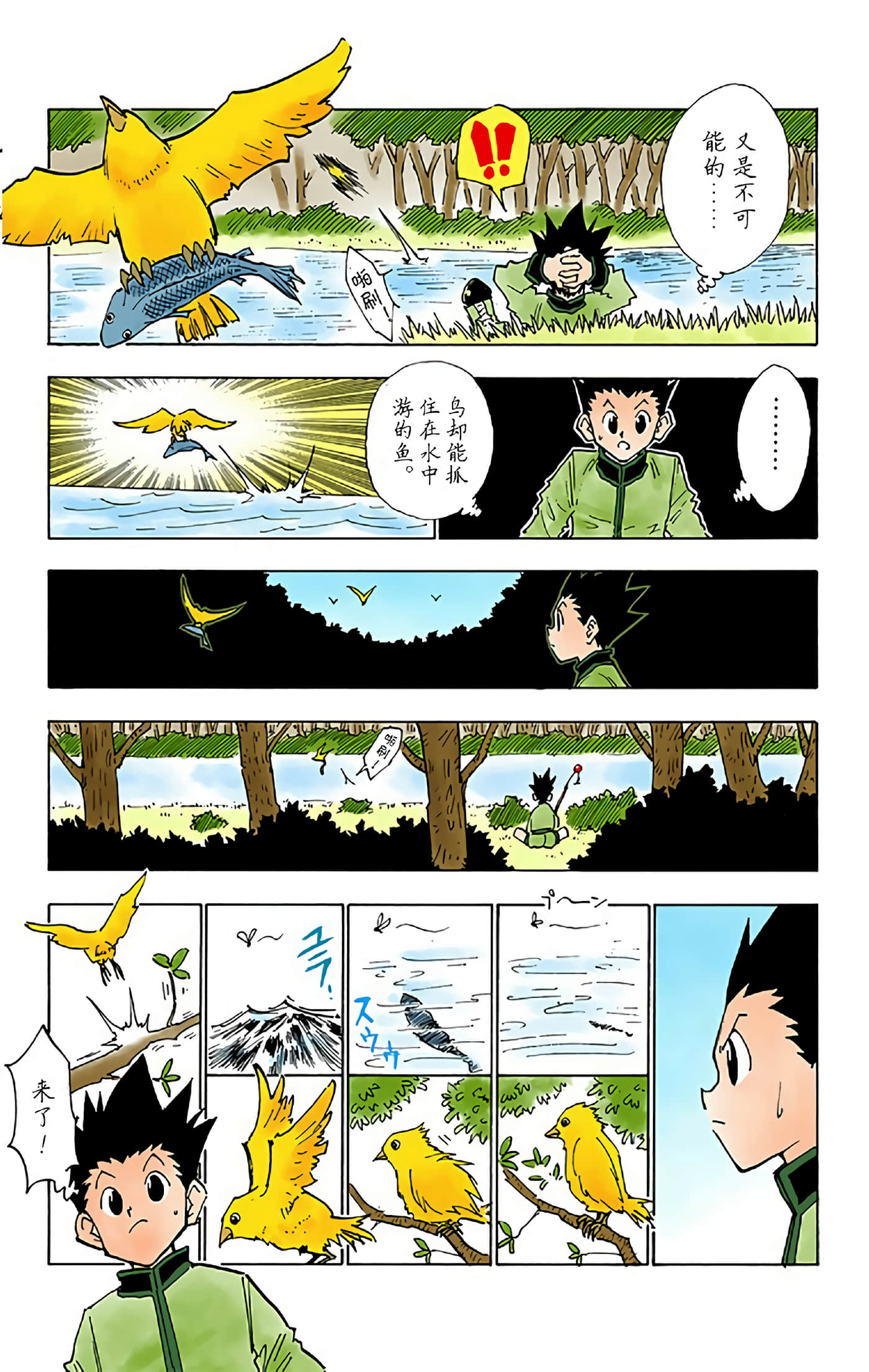 猎人 全彩【1-36卷 全是中文】【ハンター×ハンター／Hunter x Hunter／全职猎人／獵人】-3