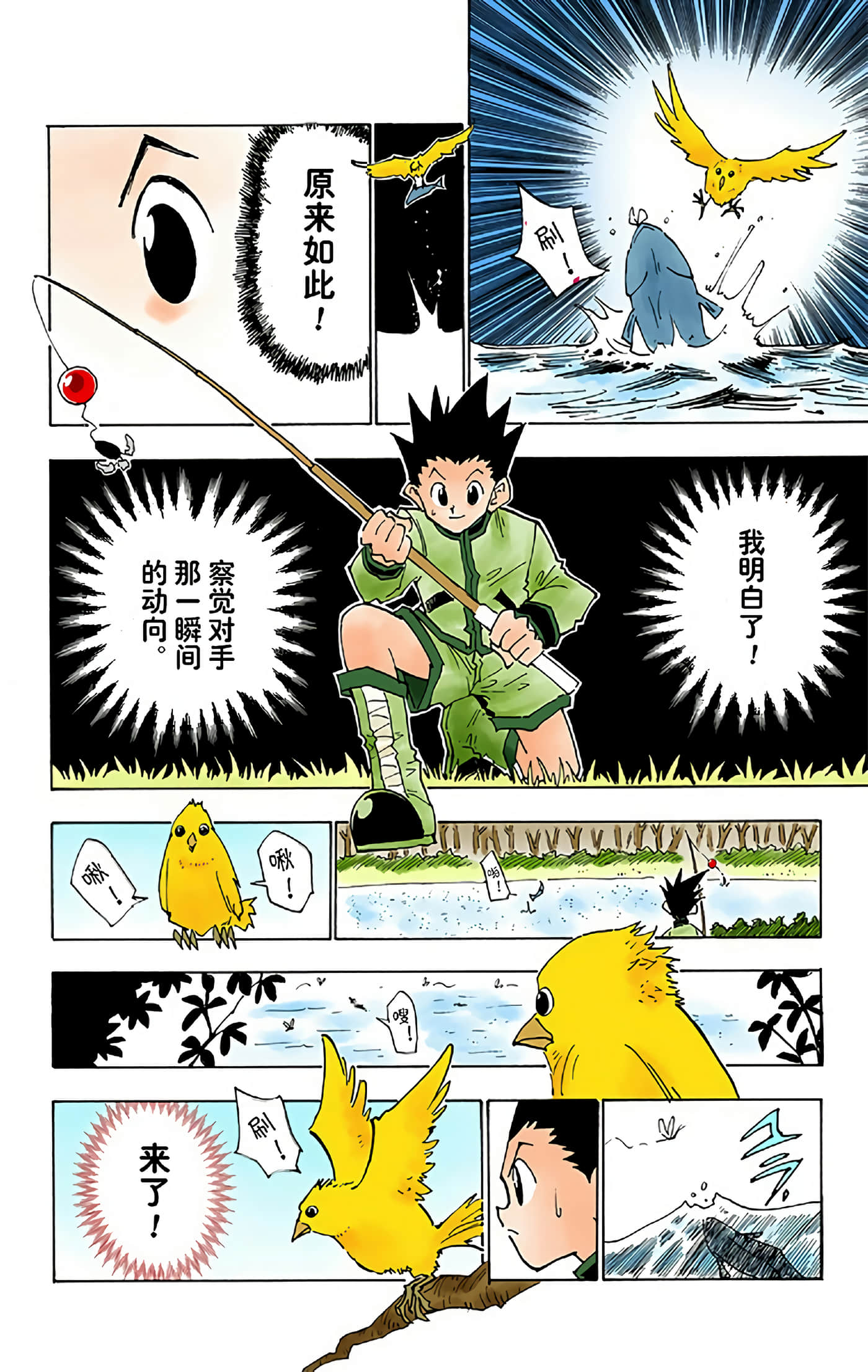 猎人 全彩【1-36卷 全是中文】【ハンター×ハンター／Hunter x Hunter／全职猎人／獵人】-3