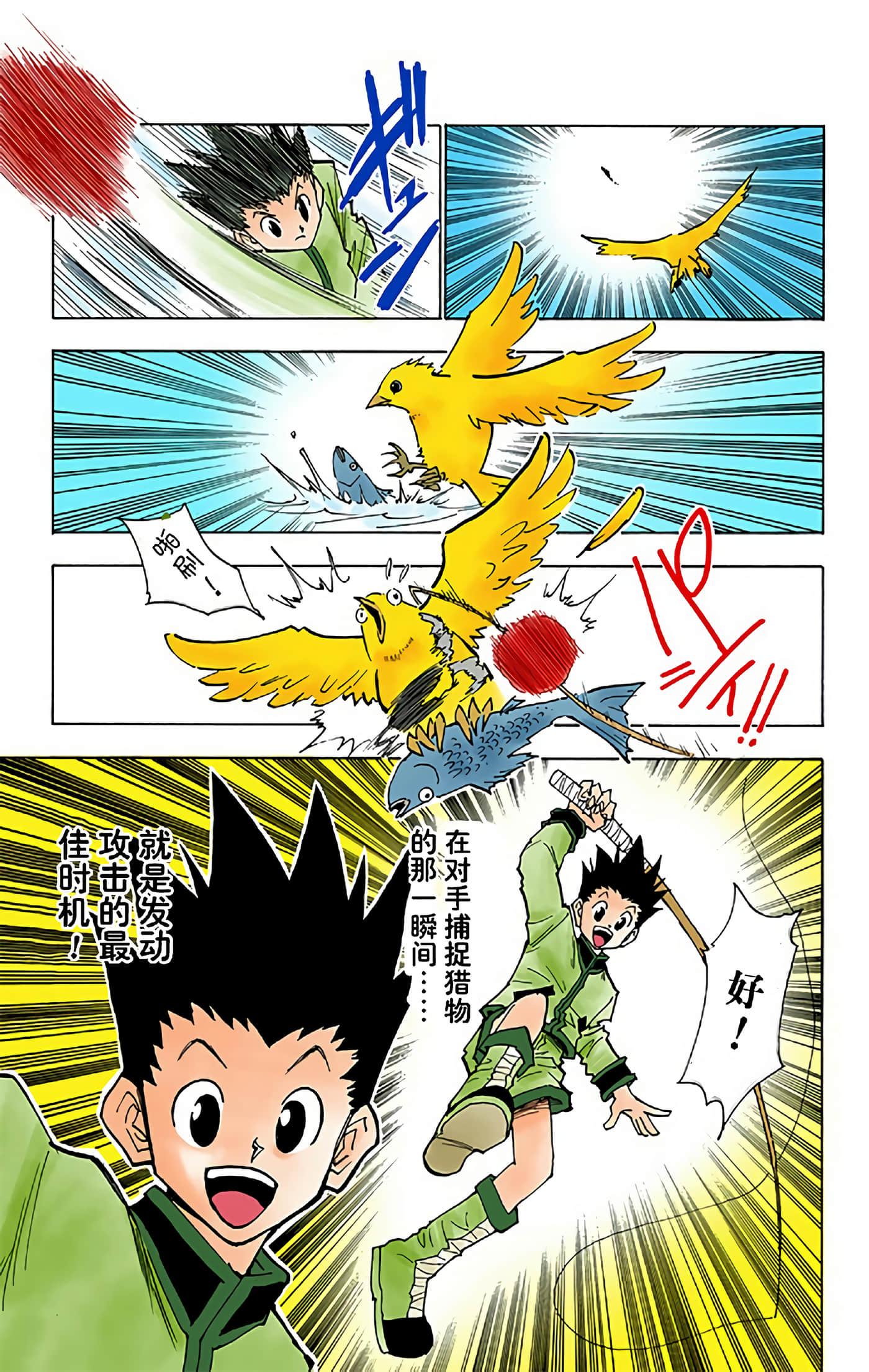 猎人 全彩【1-36卷 全是中文】【ハンター×ハンター／Hunter x Hunter／全职猎人／獵人】-3