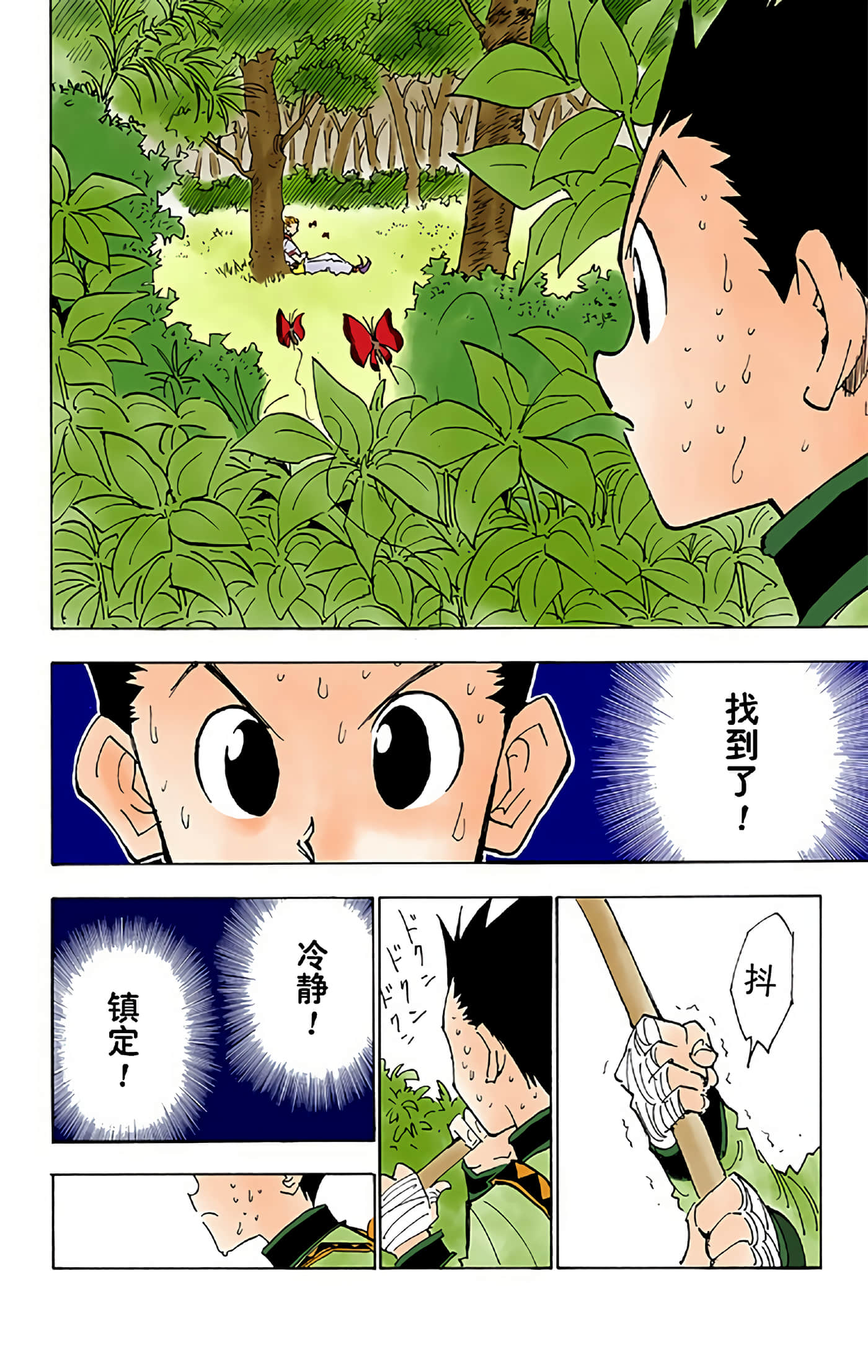猎人 全彩【1-36卷 全是中文】【ハンター×ハンター／Hunter x Hunter／全职猎人／獵人】-3