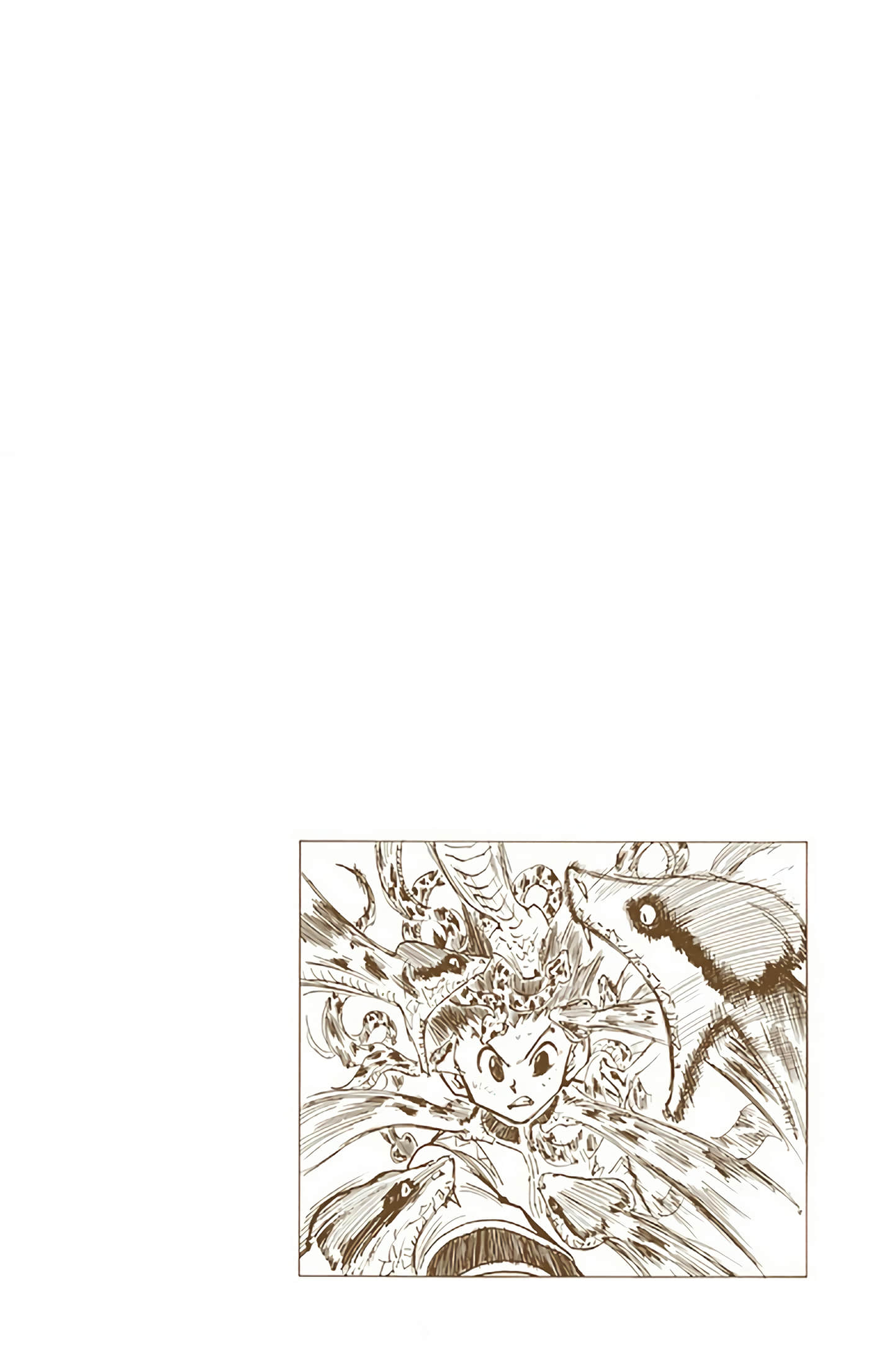 猎人 全彩【1-36卷 全是中文】【ハンター×ハンター／Hunter x Hunter／全职猎人／獵人】-4