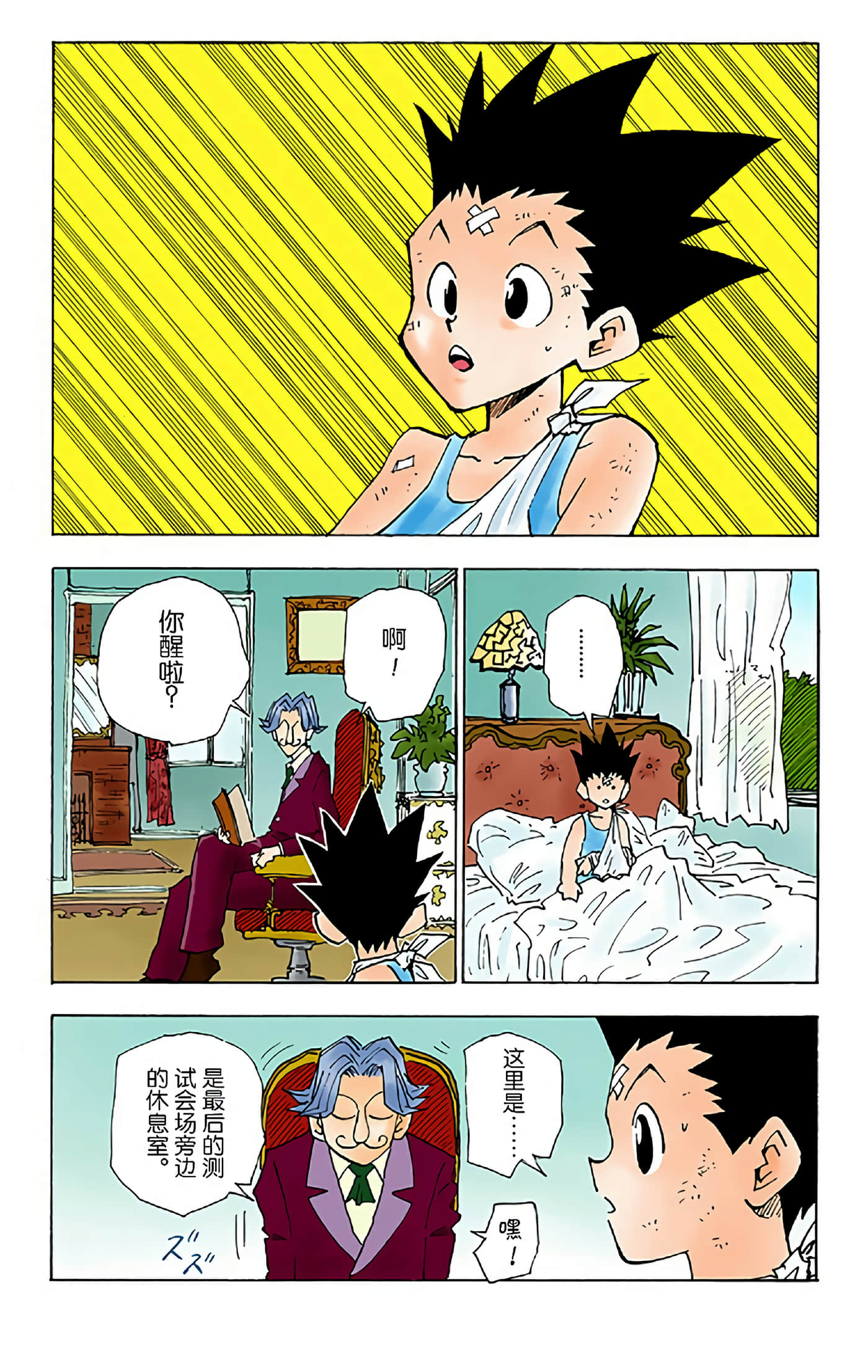 猎人 全彩【1-36卷 全是中文】【ハンター×ハンター／Hunter x Hunter／全职猎人／獵人】-4