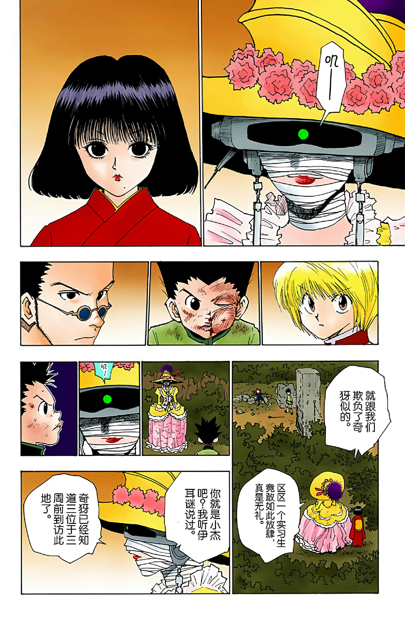 猎人 全彩【1-36卷 全是中文】【ハンター×ハンター／Hunter x Hunter／全职猎人／獵人】-5