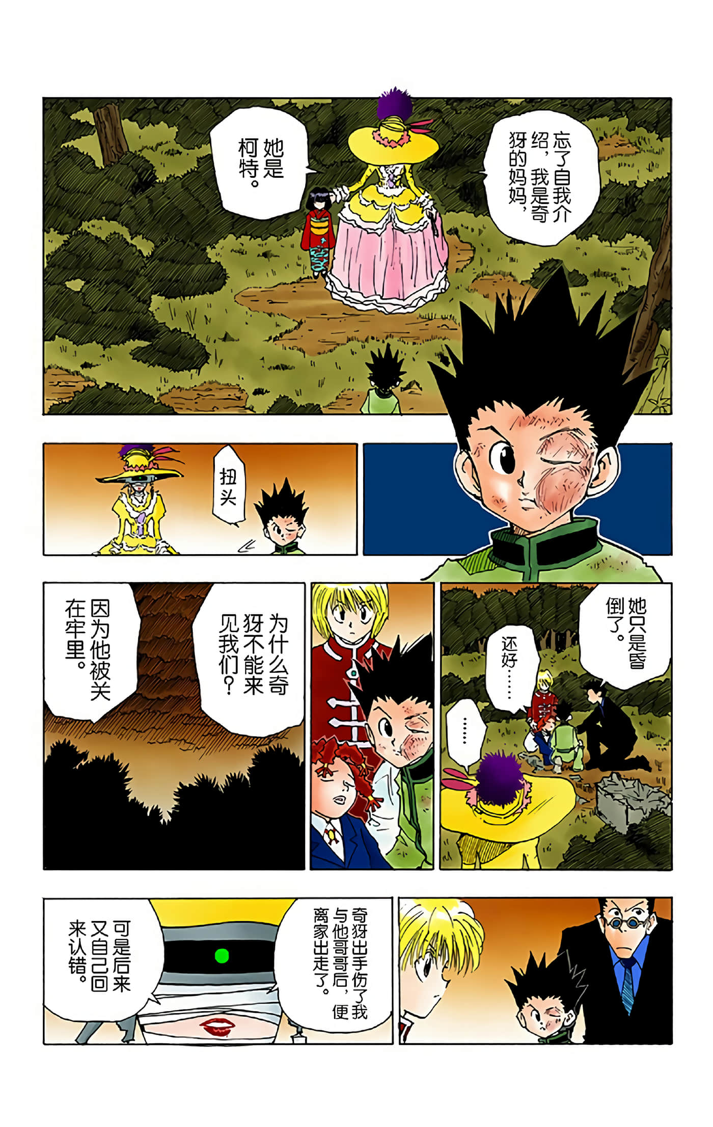 猎人 全彩【1-36卷 全是中文】【ハンター×ハンター／Hunter x Hunter／全职猎人／獵人】-5