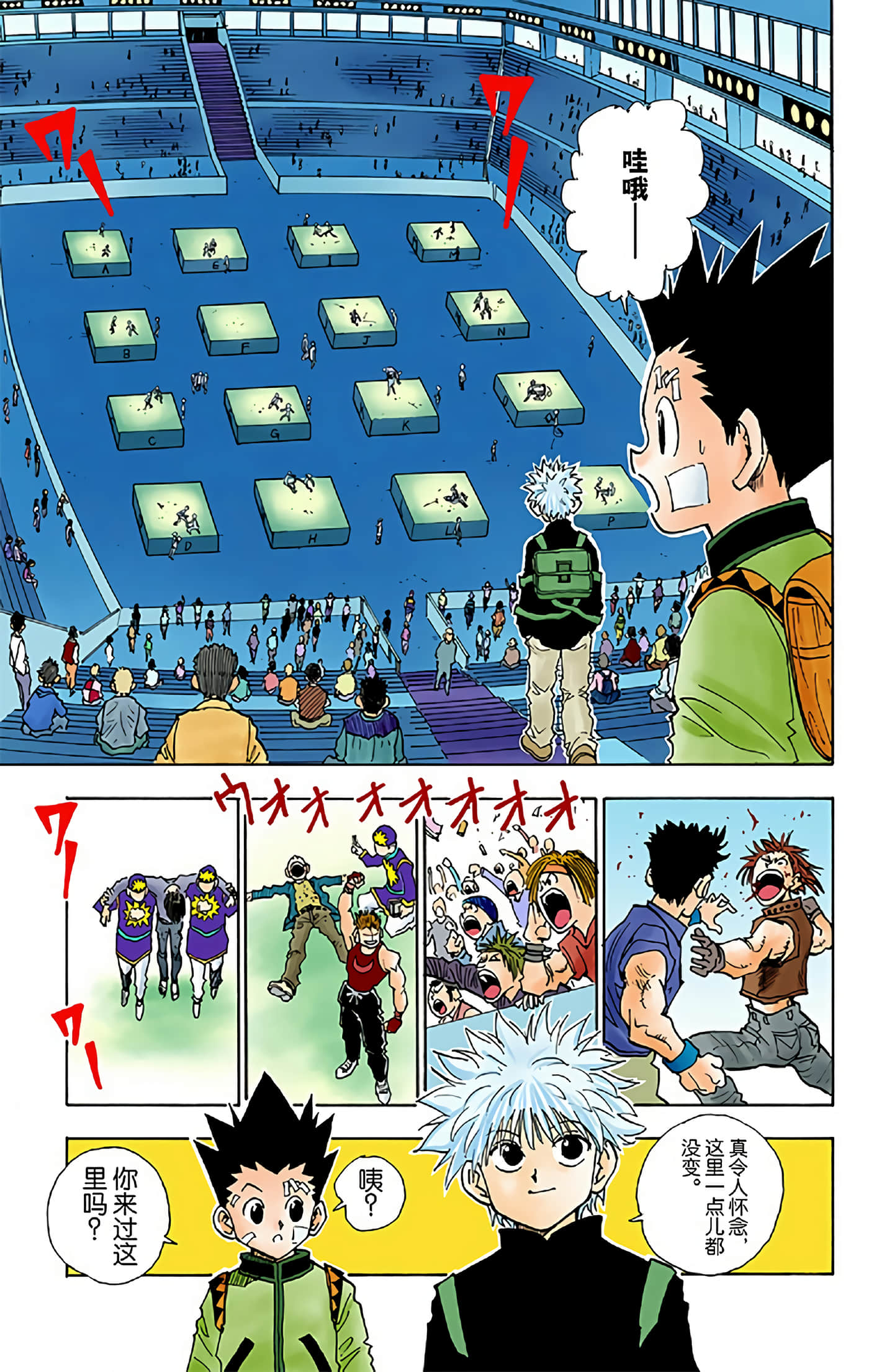 猎人 全彩【1-36卷 全是中文】【ハンター×ハンター／Hunter x Hunter／全职猎人／獵人】-5