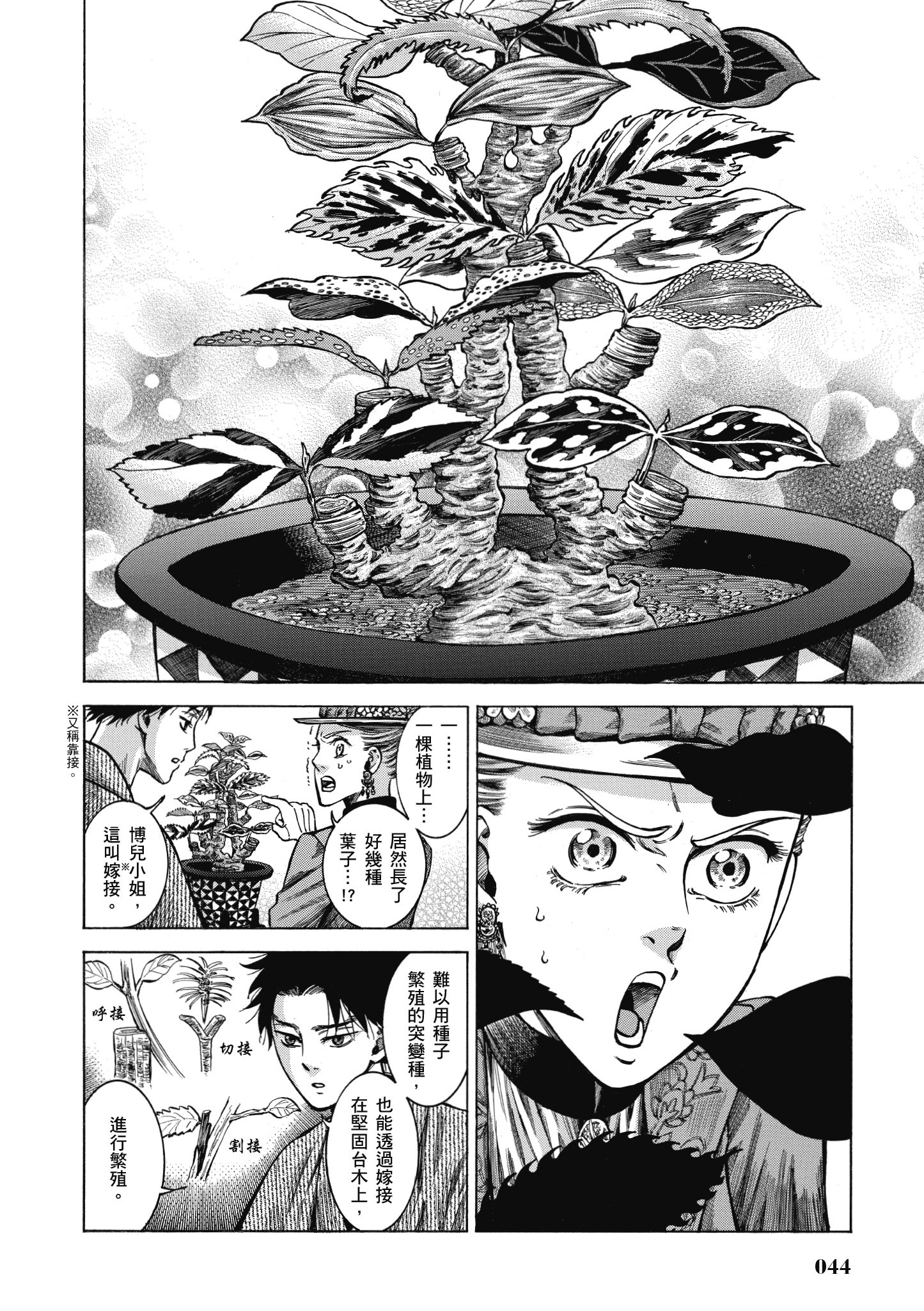博儿的东瀛纪行【1-11卷 全是中文】【ふしぎの国のバード／博兒的東瀛紀行】-4