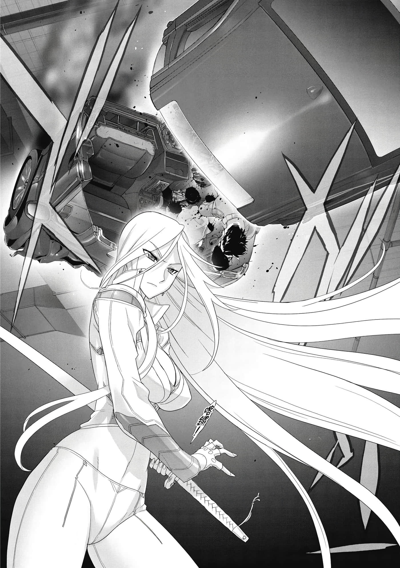 绝命制裁X【1-29卷 第29卷是生肉】【トリアージ X／Triage X／急救识别x／絕命制裁X】-2