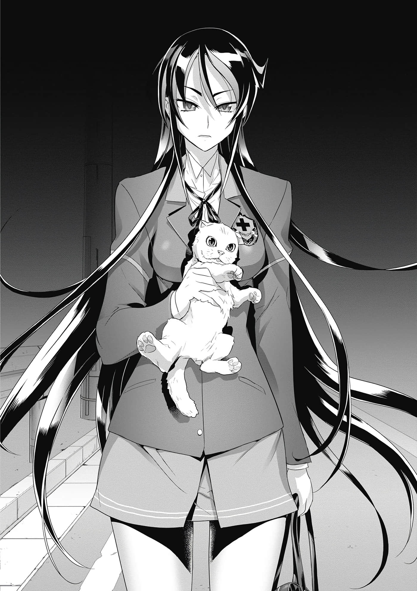 绝命制裁X【1-29卷 第29卷是生肉】【トリアージ X／Triage X／急救识别x／絕命制裁X】-3