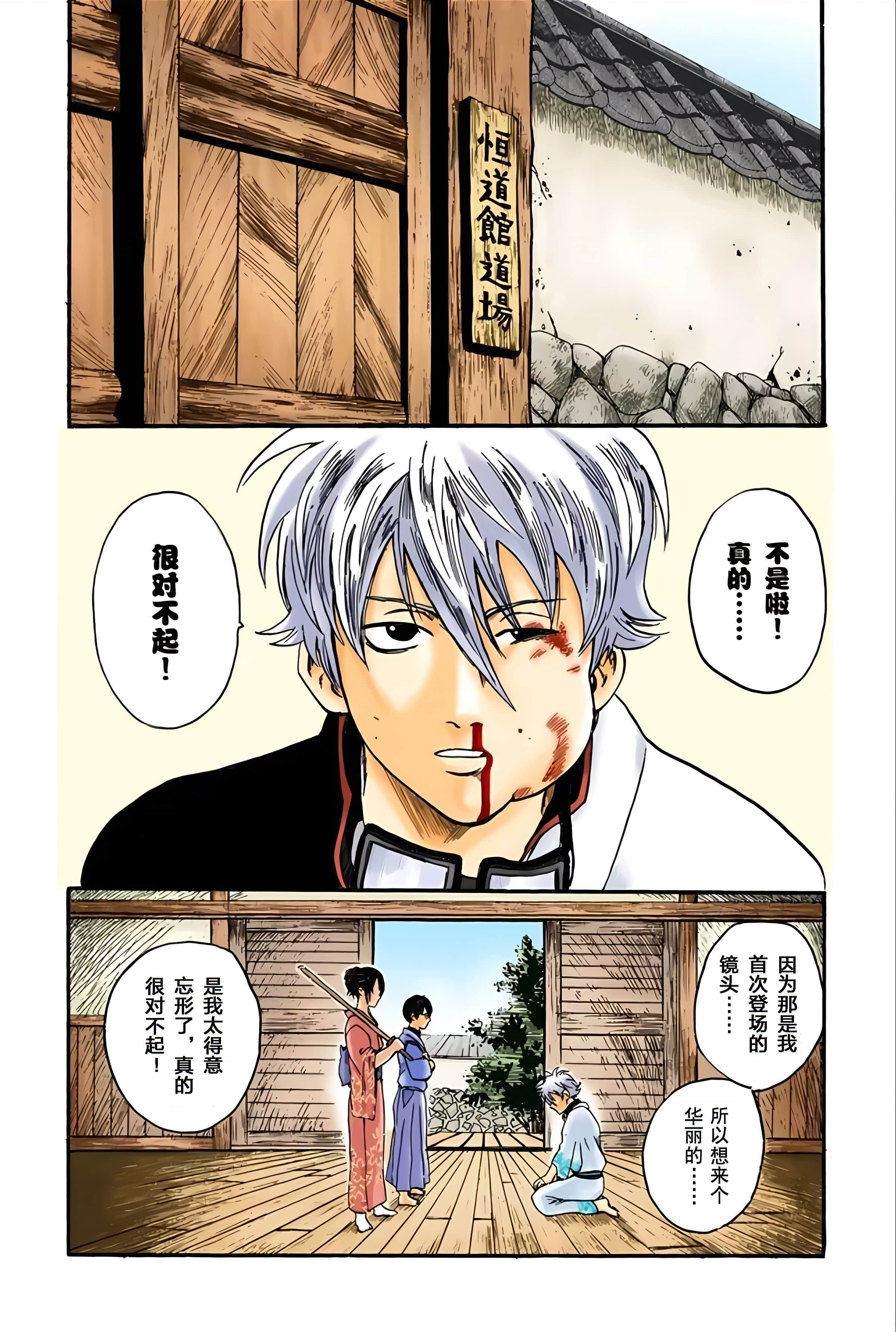银魂 全彩【1-17卷 全是中文】【銀魂】【已完结】-1