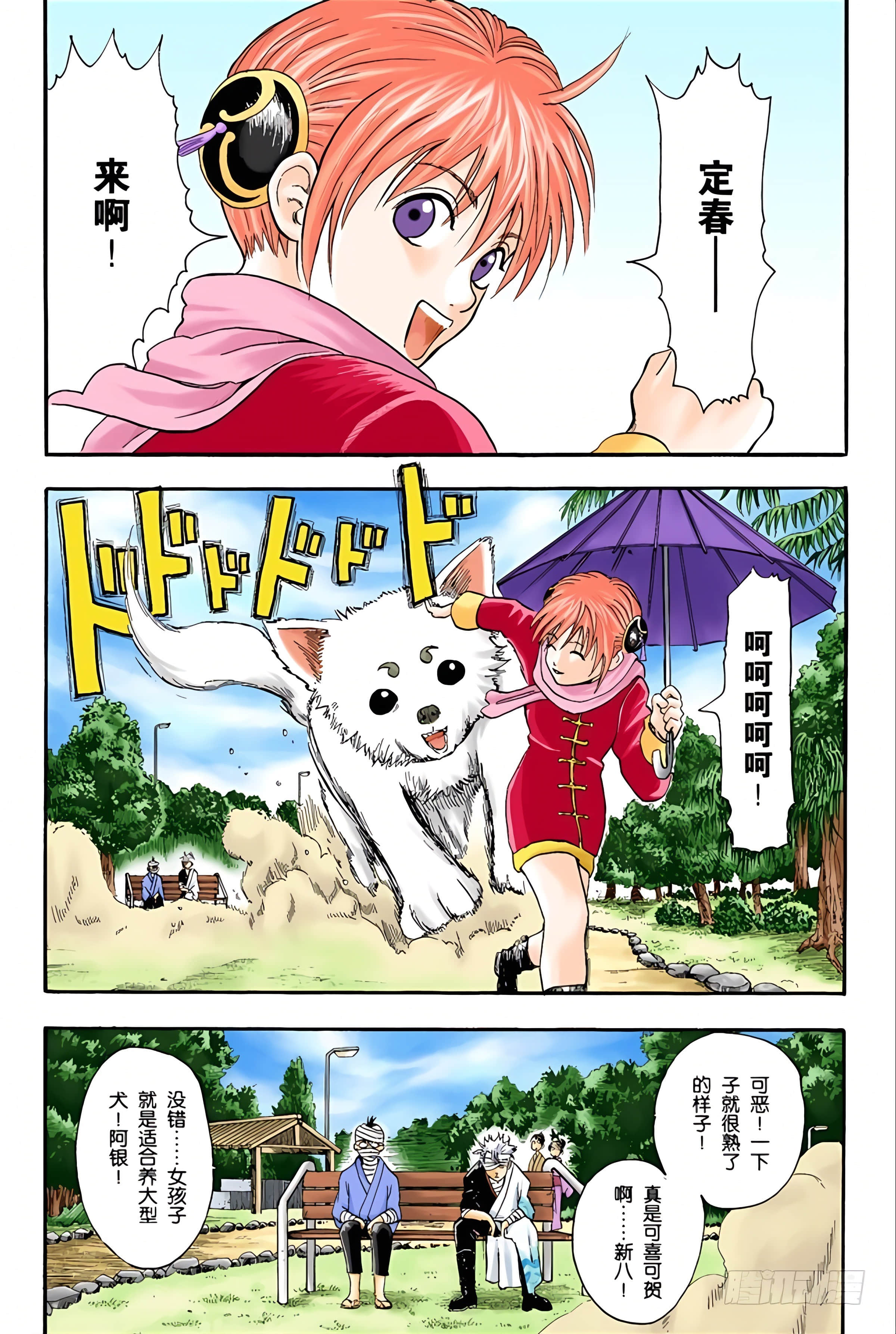 银魂 全彩【1-17卷 全是中文】【銀魂】【已完结】-2