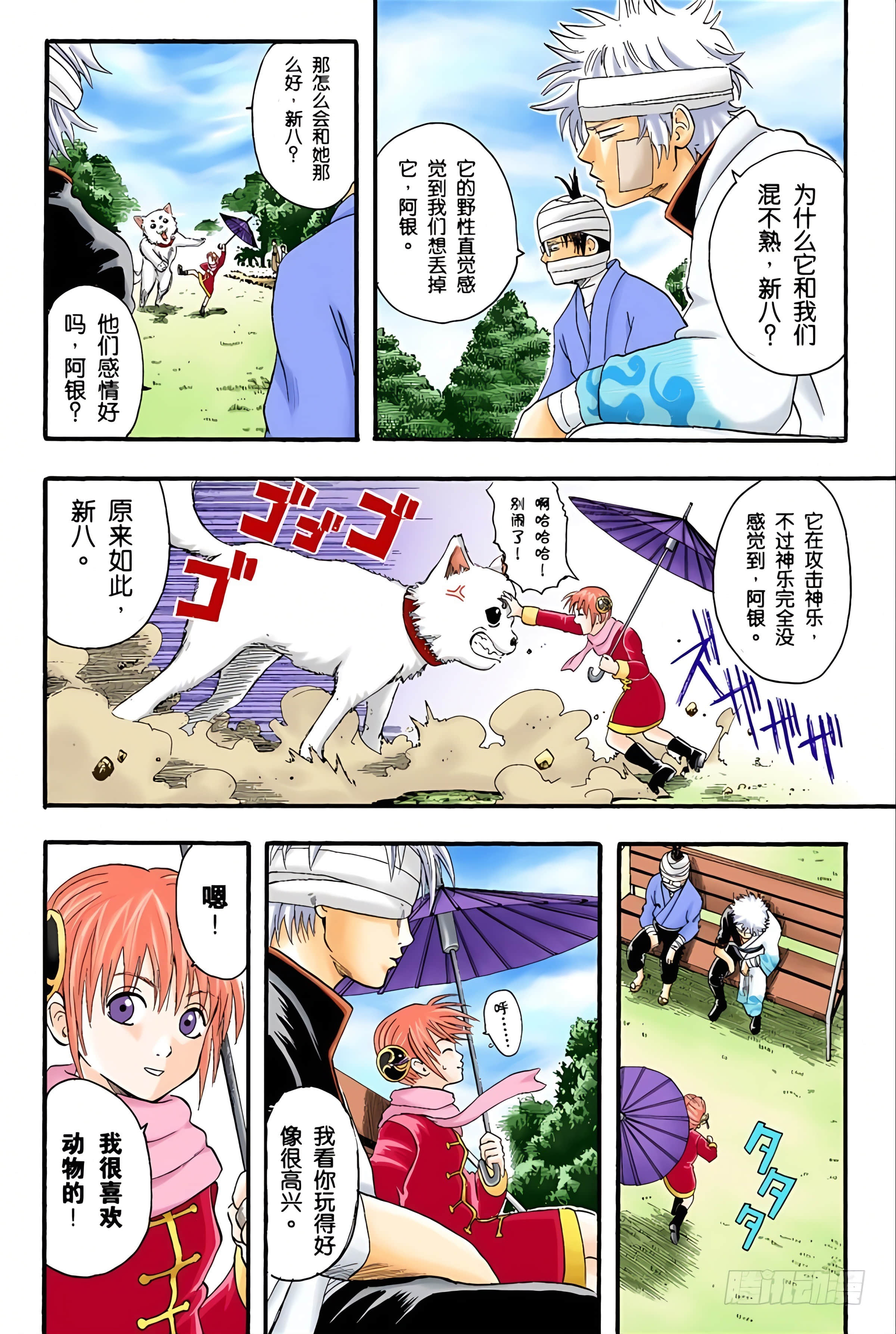 银魂 全彩【1-17卷 全是中文】【銀魂】【已完结】-2