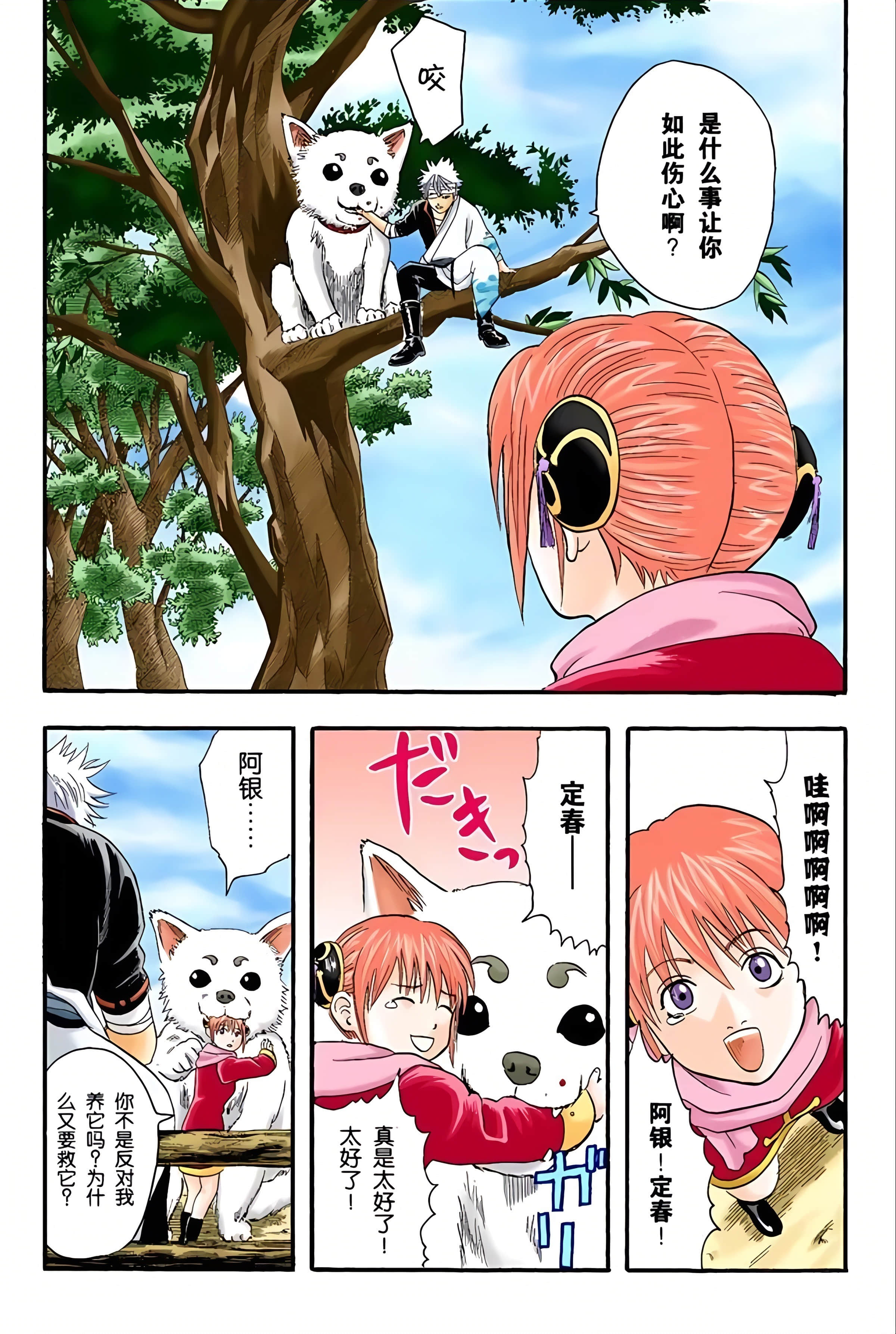 银魂 全彩【1-17卷 全是中文】【銀魂】【已完结】-2