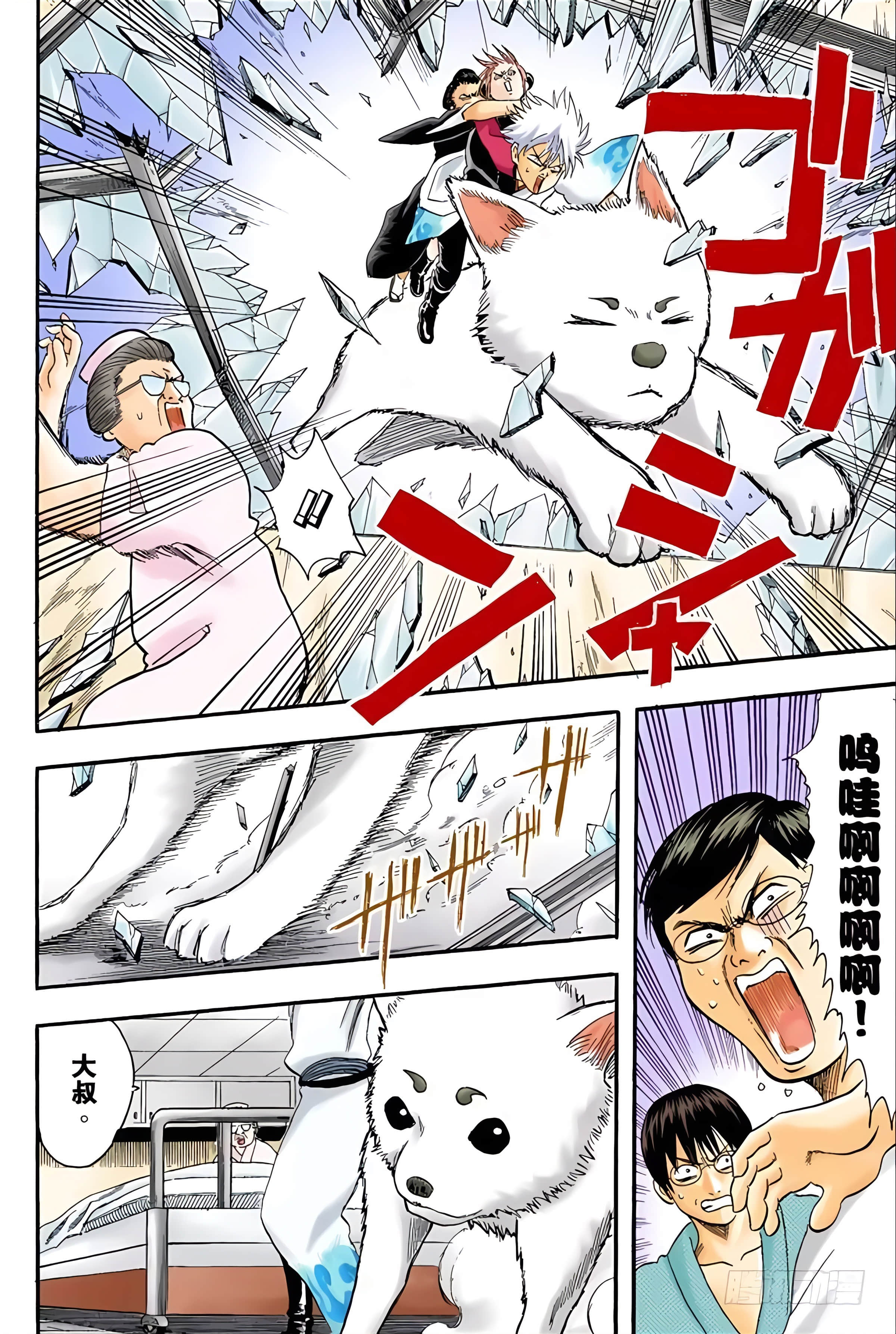 银魂 全彩【1-17卷 全是中文】【銀魂】【已完结】-2