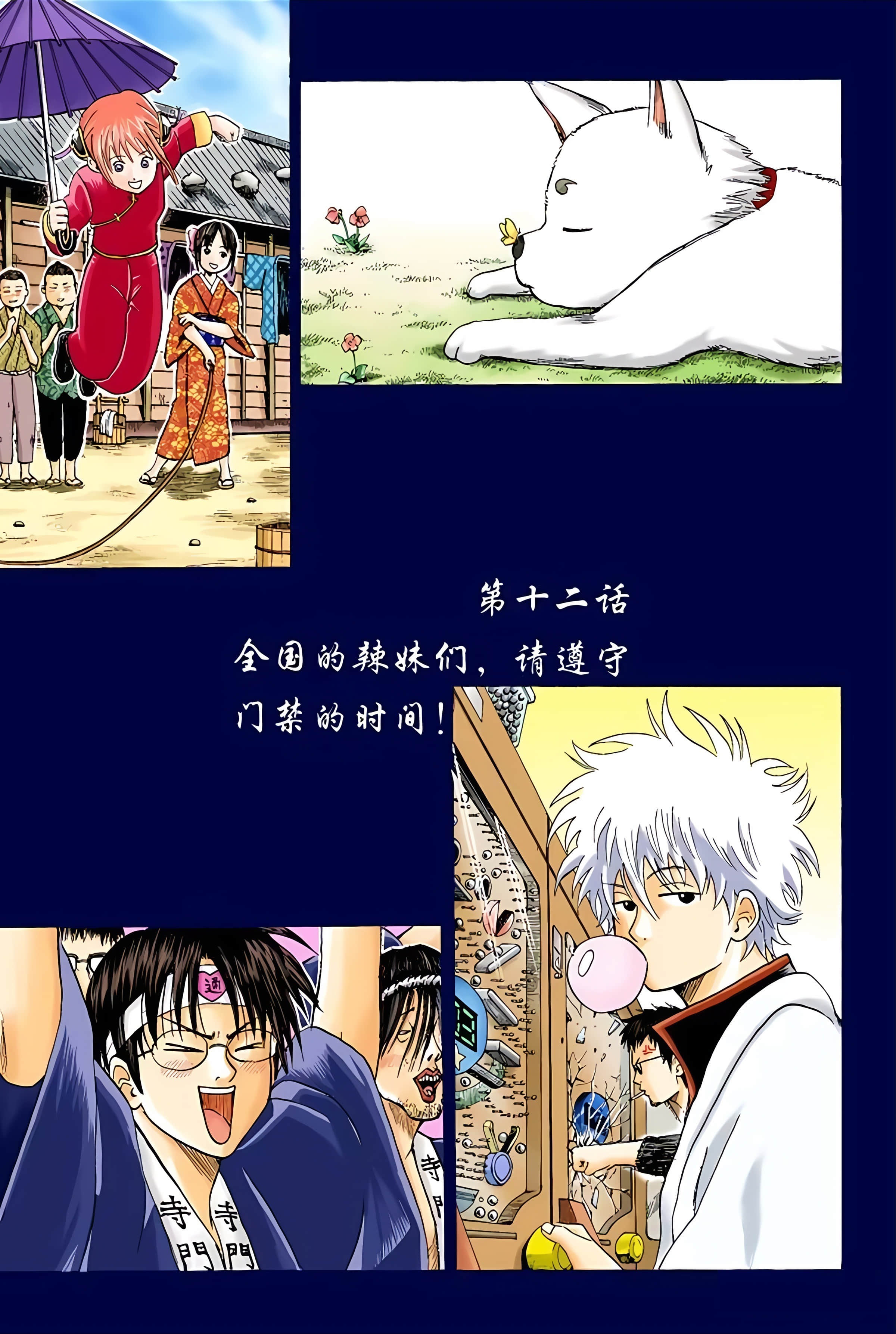 银魂 全彩【1-17卷 全是中文】【銀魂】【已完结】-2