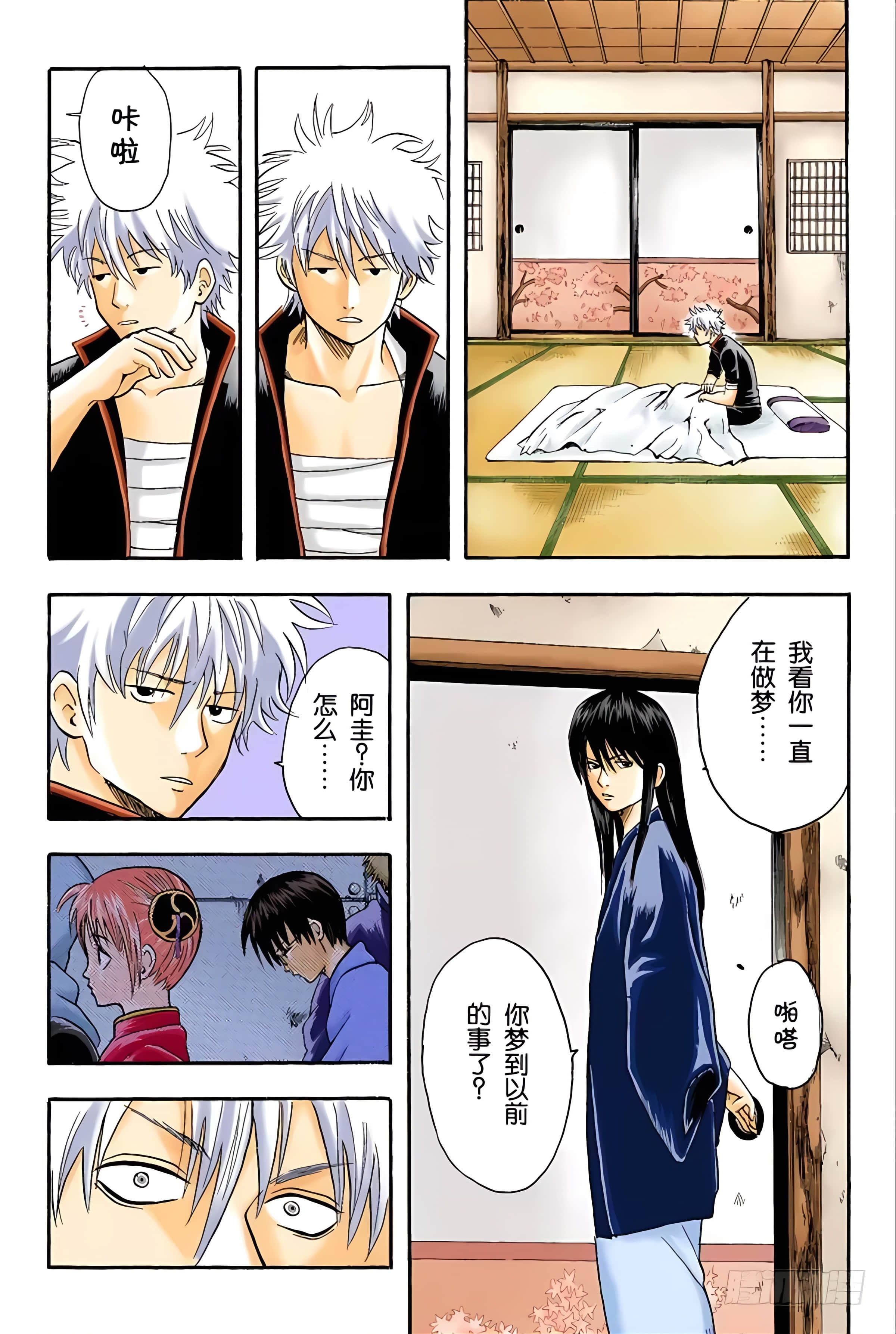 银魂 全彩【1-17卷 全是中文】【銀魂】【已完结】-2